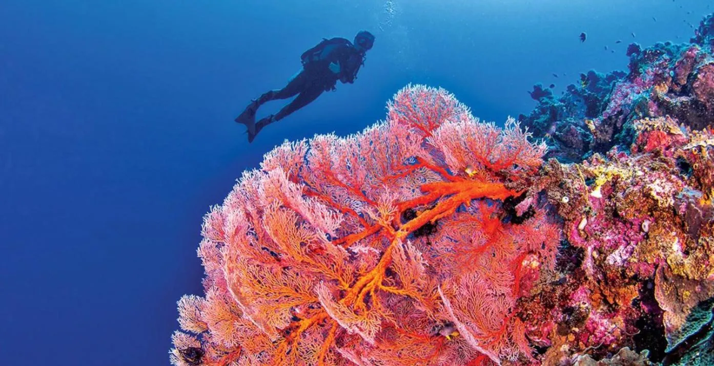People in Pristine Paradise Dive Resort - Togean Islands, Una Una