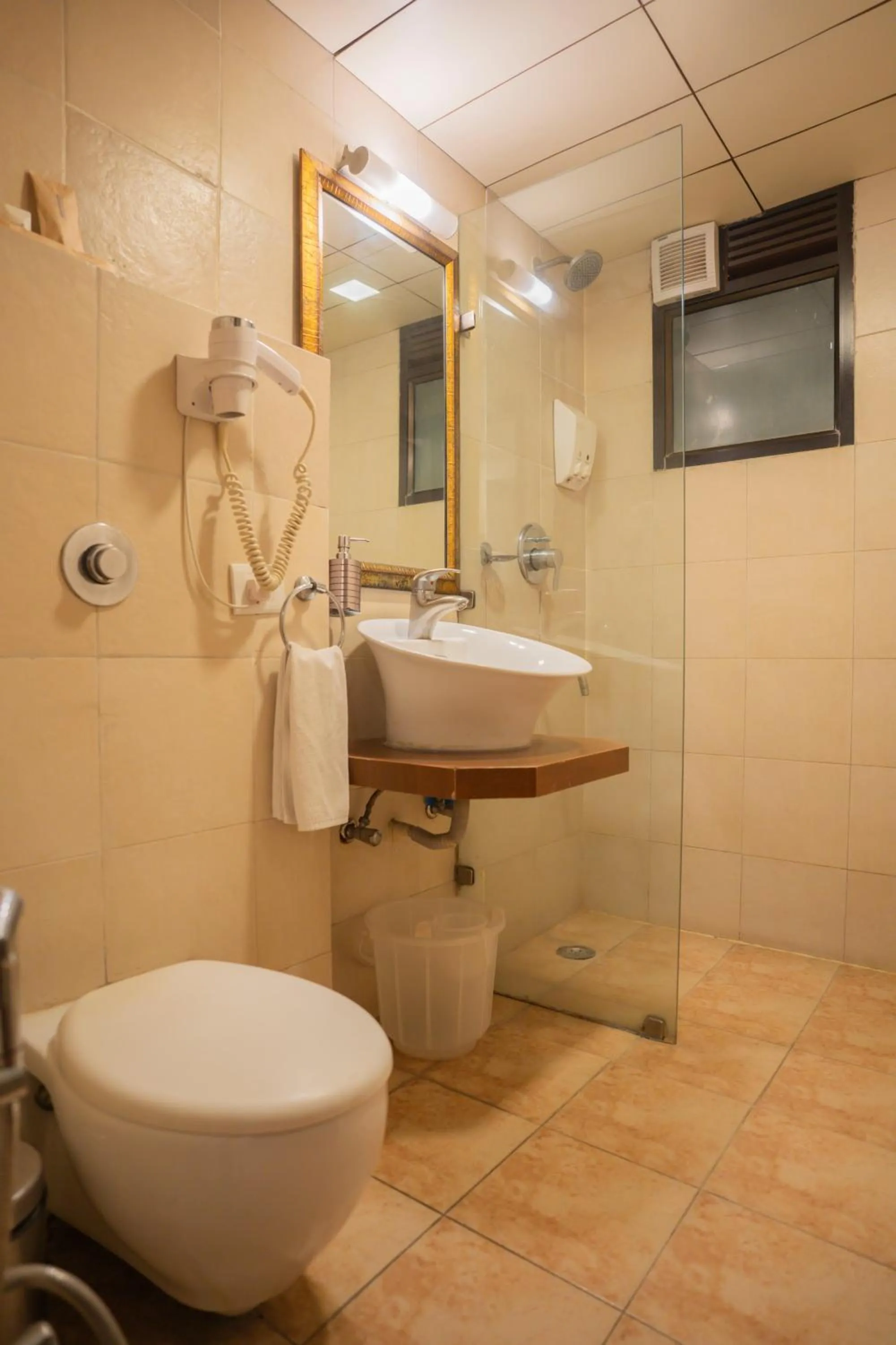 Bathroom in Ahuja Residency Parklane