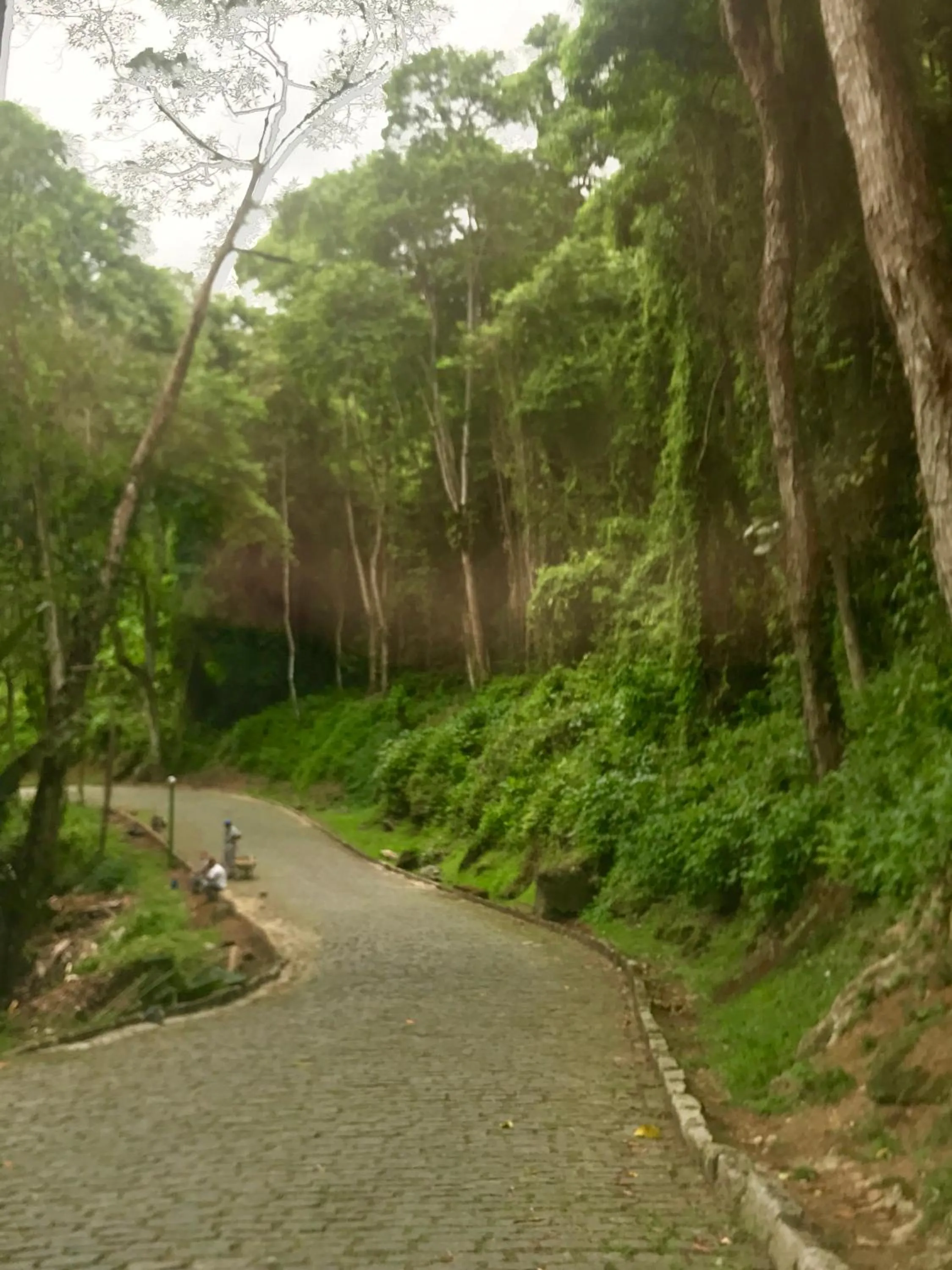 Property building in Flat no Portogalo