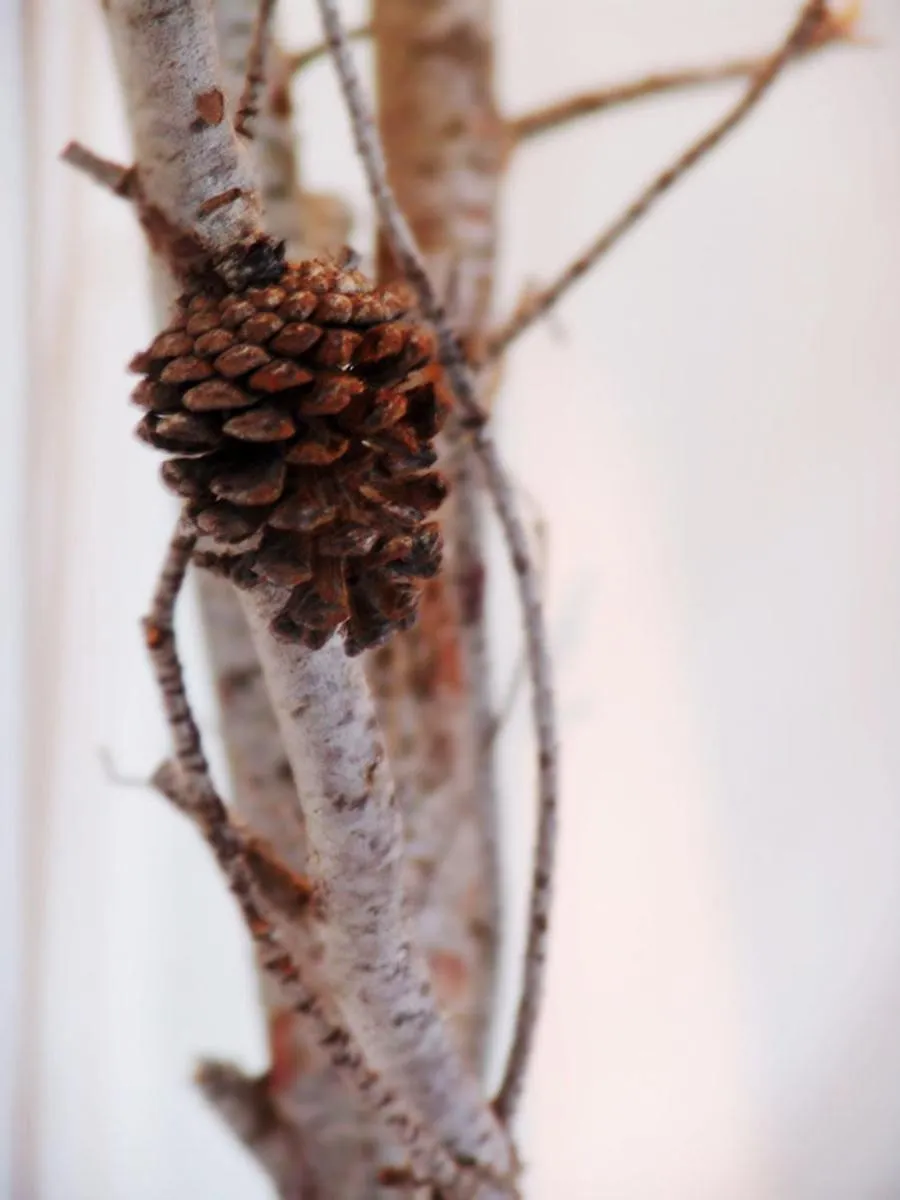 Decorative detail in Hotel La Tinensa