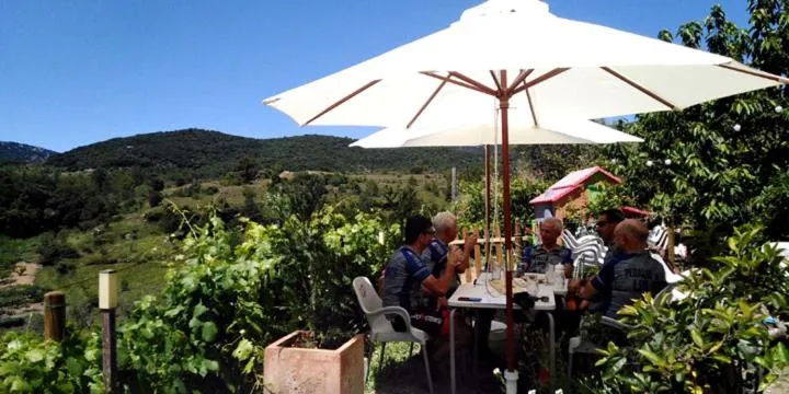 Garden in Hotel La Tinensa