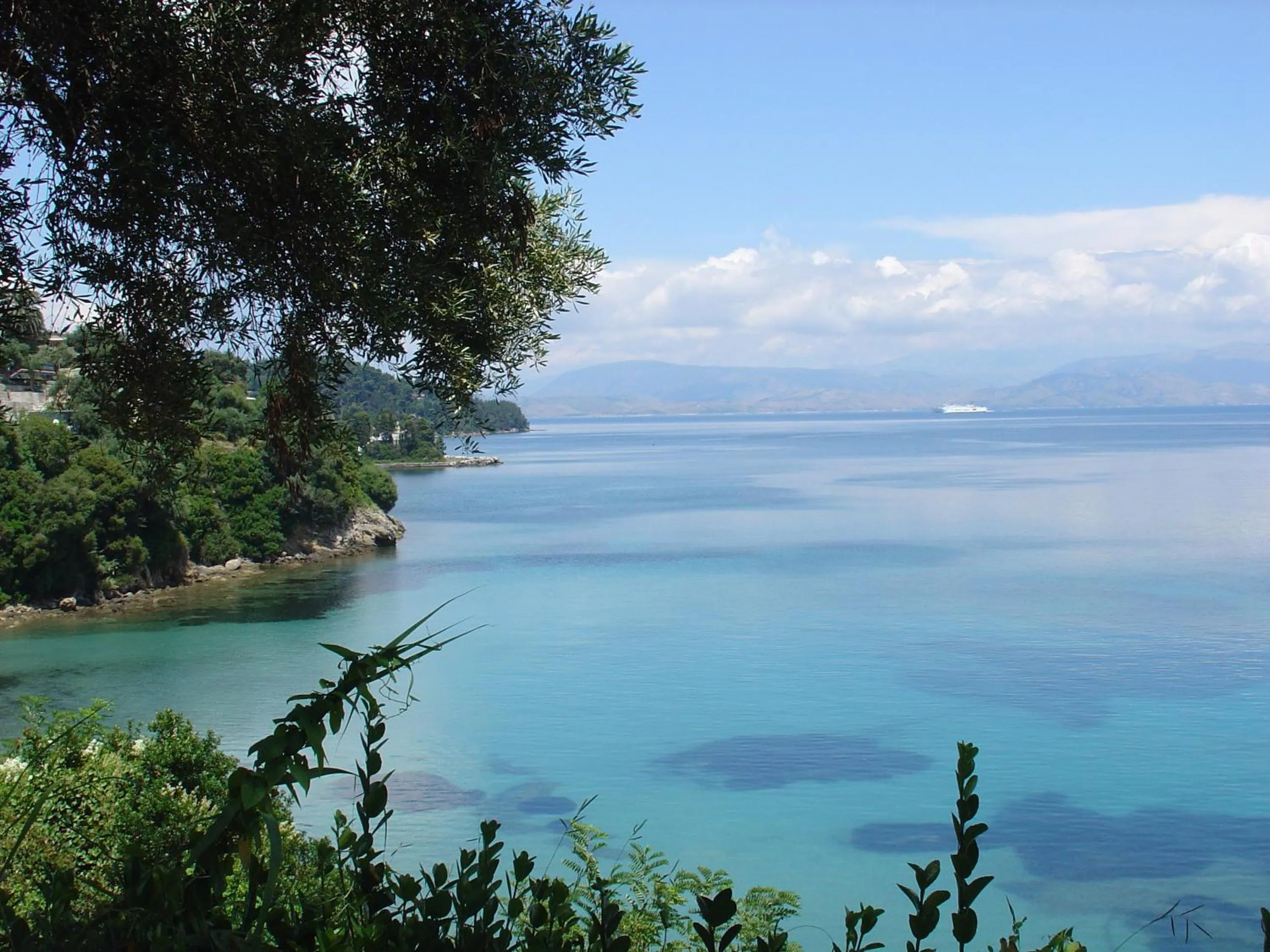 View (from property/room) in Oasis Hotel