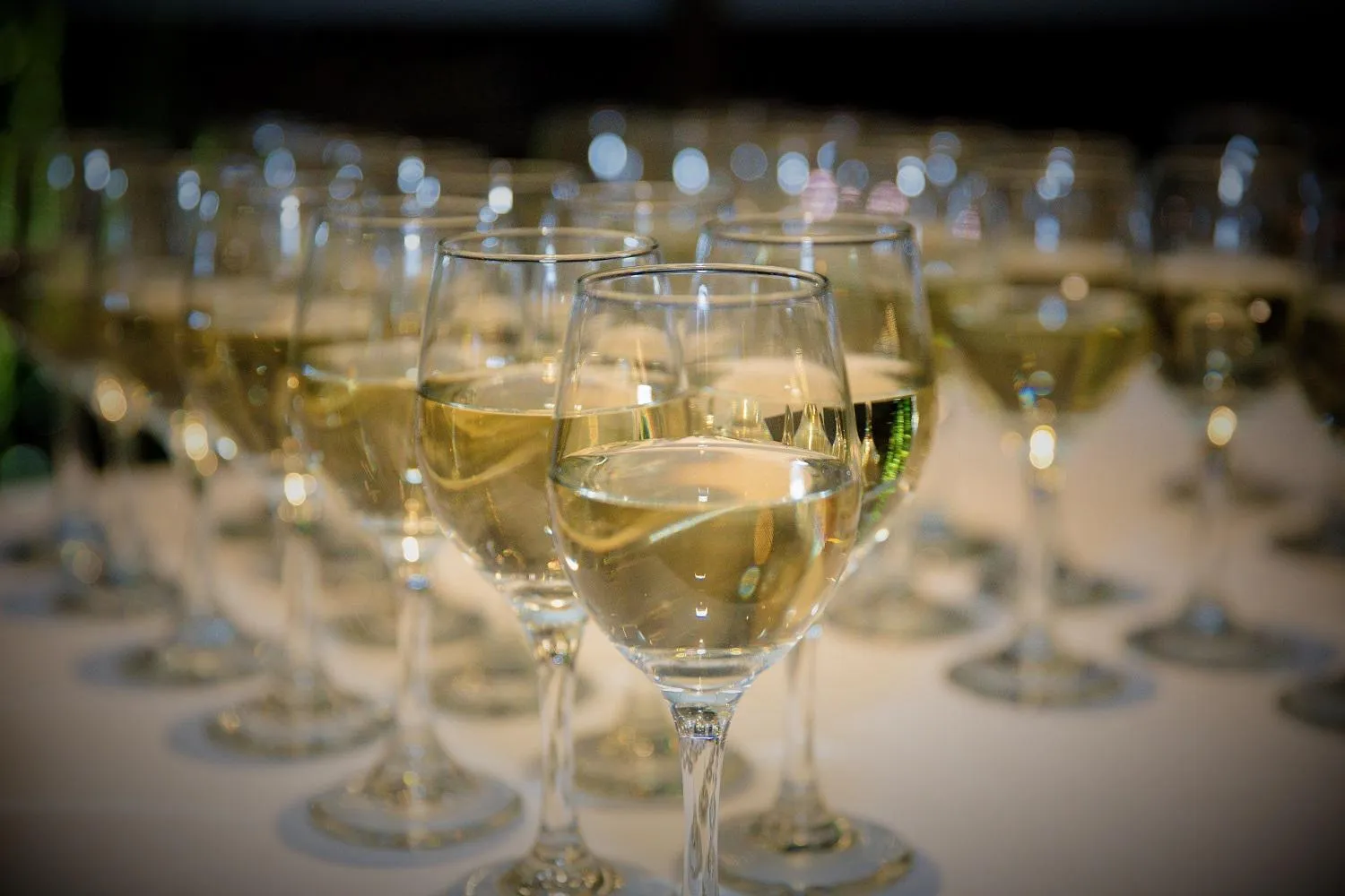 Best Western City Sands