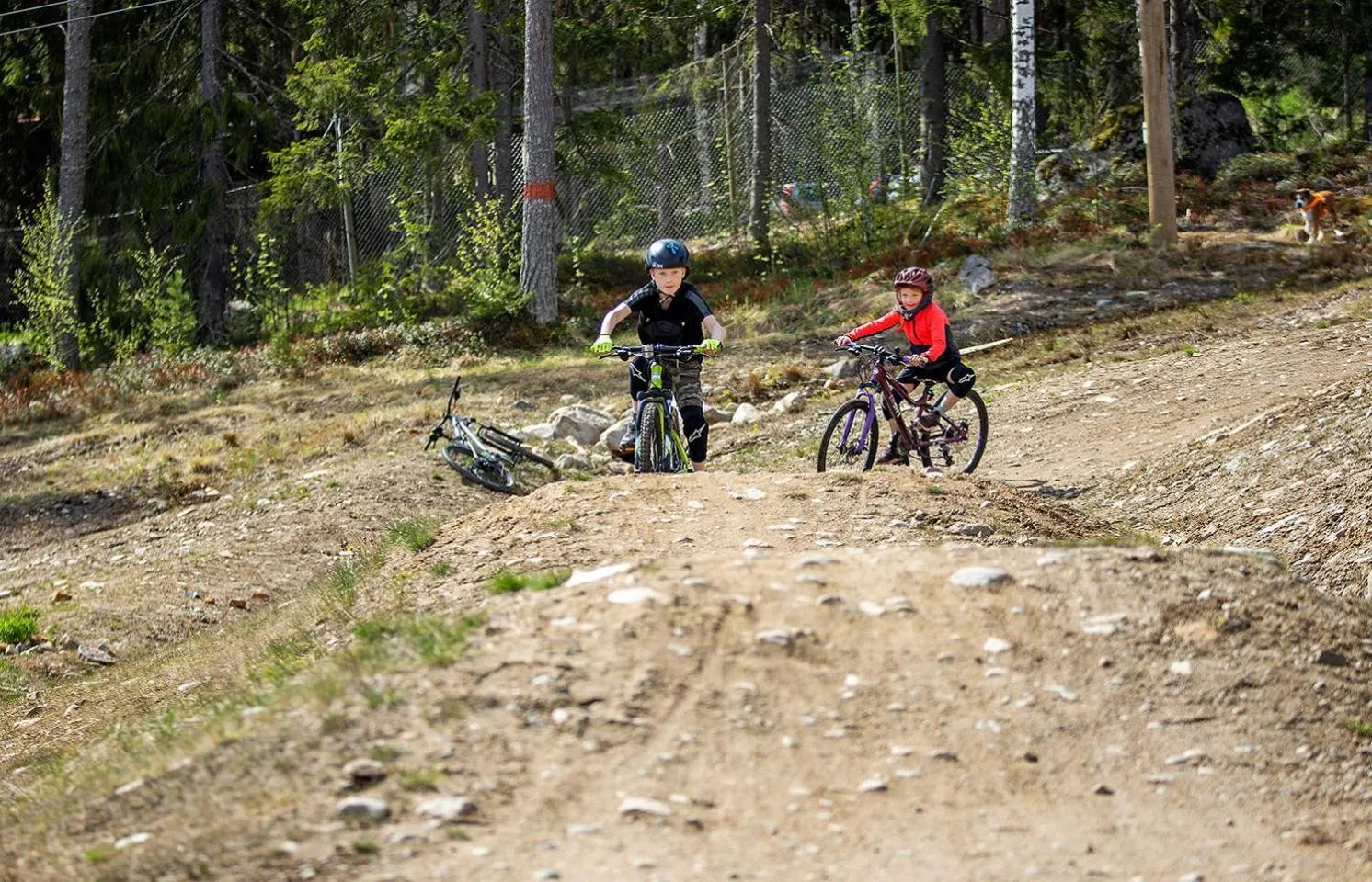 Cycling in Bergshotellet