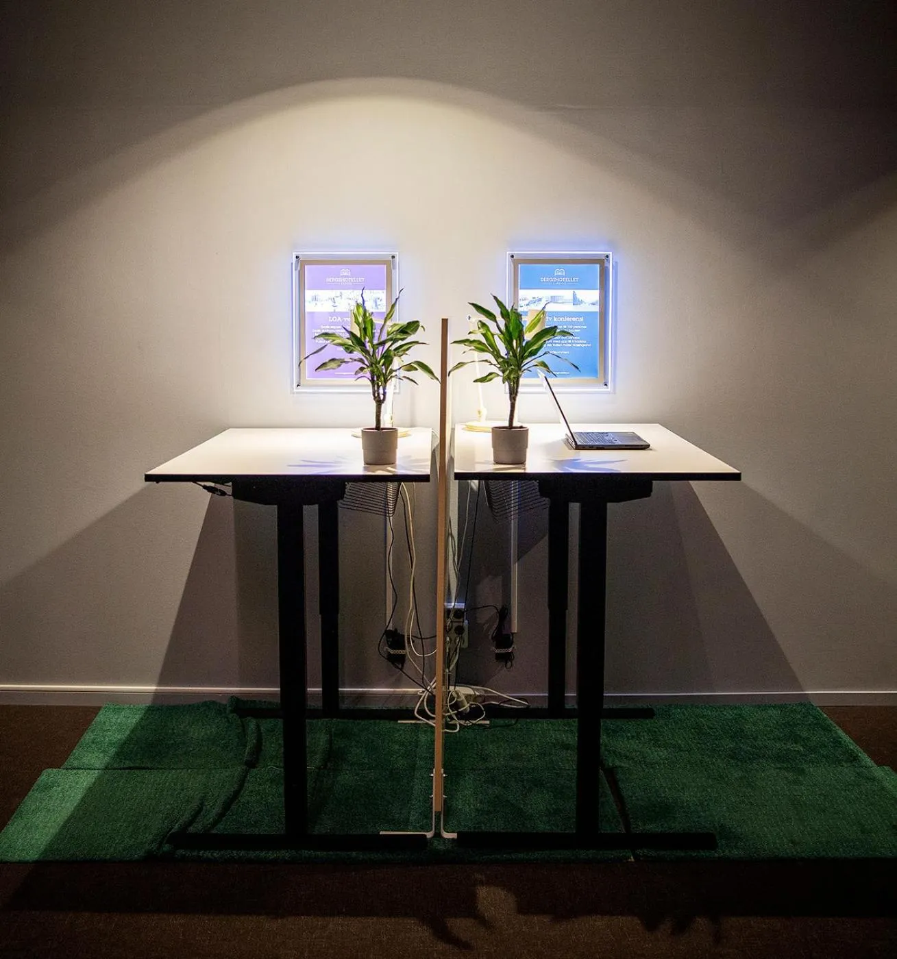 Property building in Bergshotellet