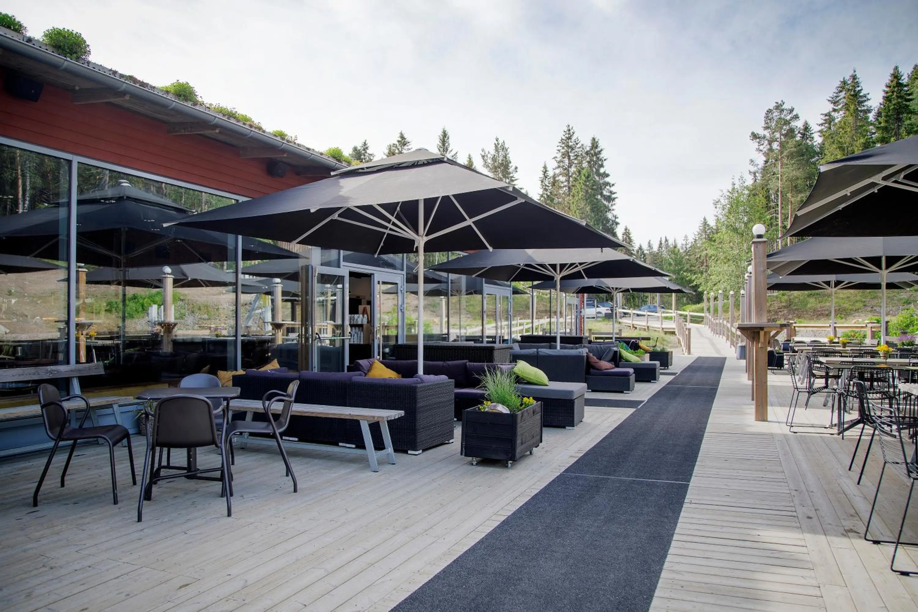 Restaurant/places to eat in Bergshotellet