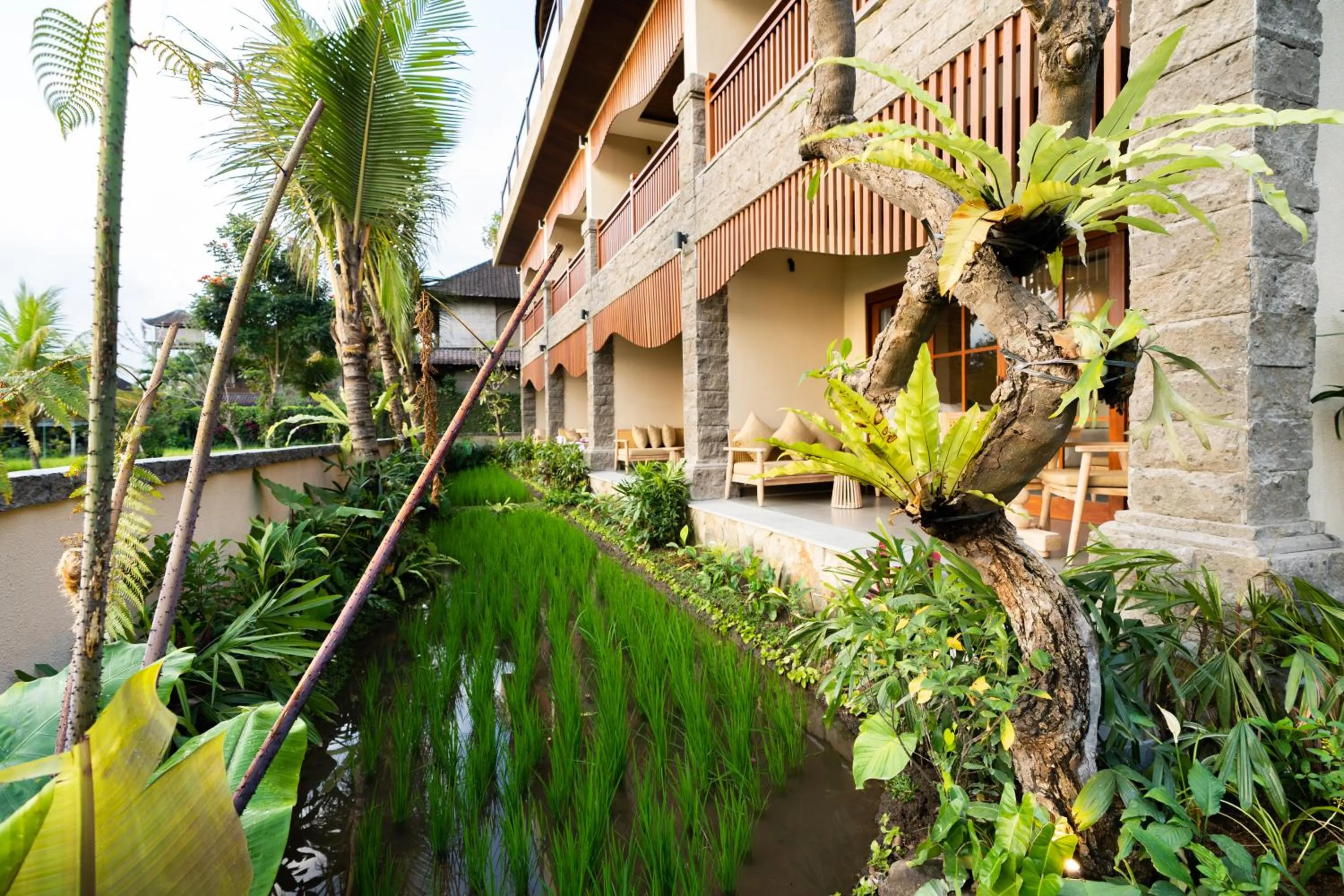 Property building in Bliss Ubud Spa Resort