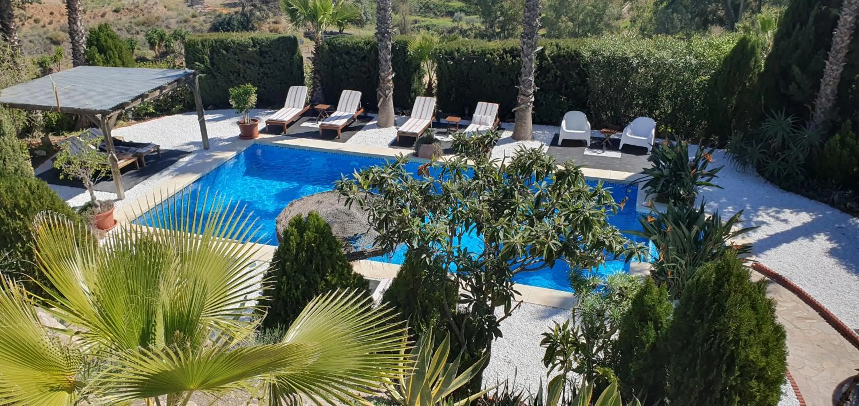 Swimming pool in Bed & Breakfast | Guest House Casa Don Carlos