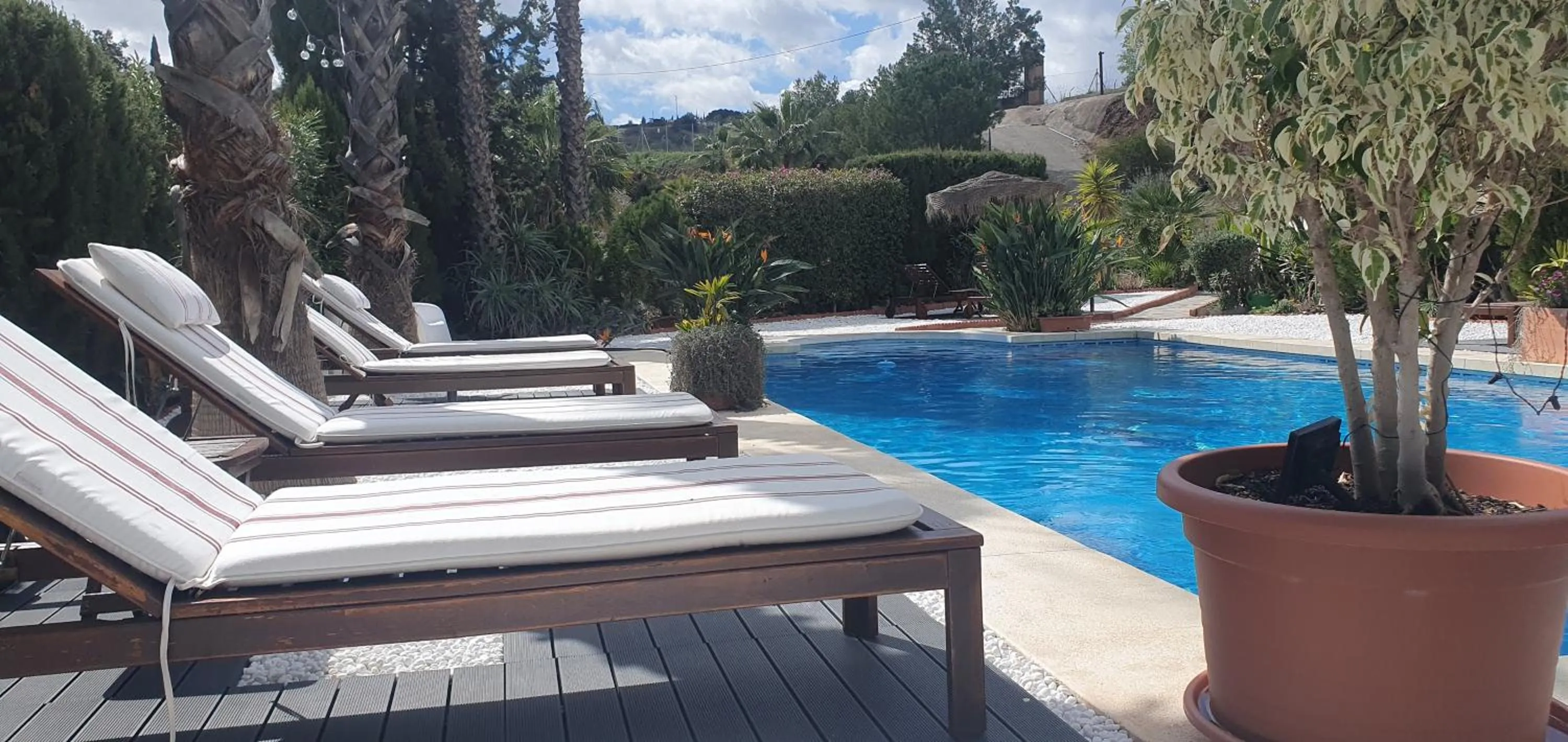Swimming pool in Bed & Breakfast | Guest House Casa Don Carlos