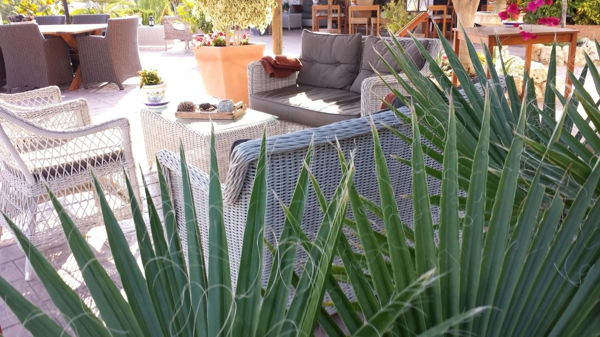 Balcony/Terrace in Bed & Breakfast | Guest House Casa Don Carlos