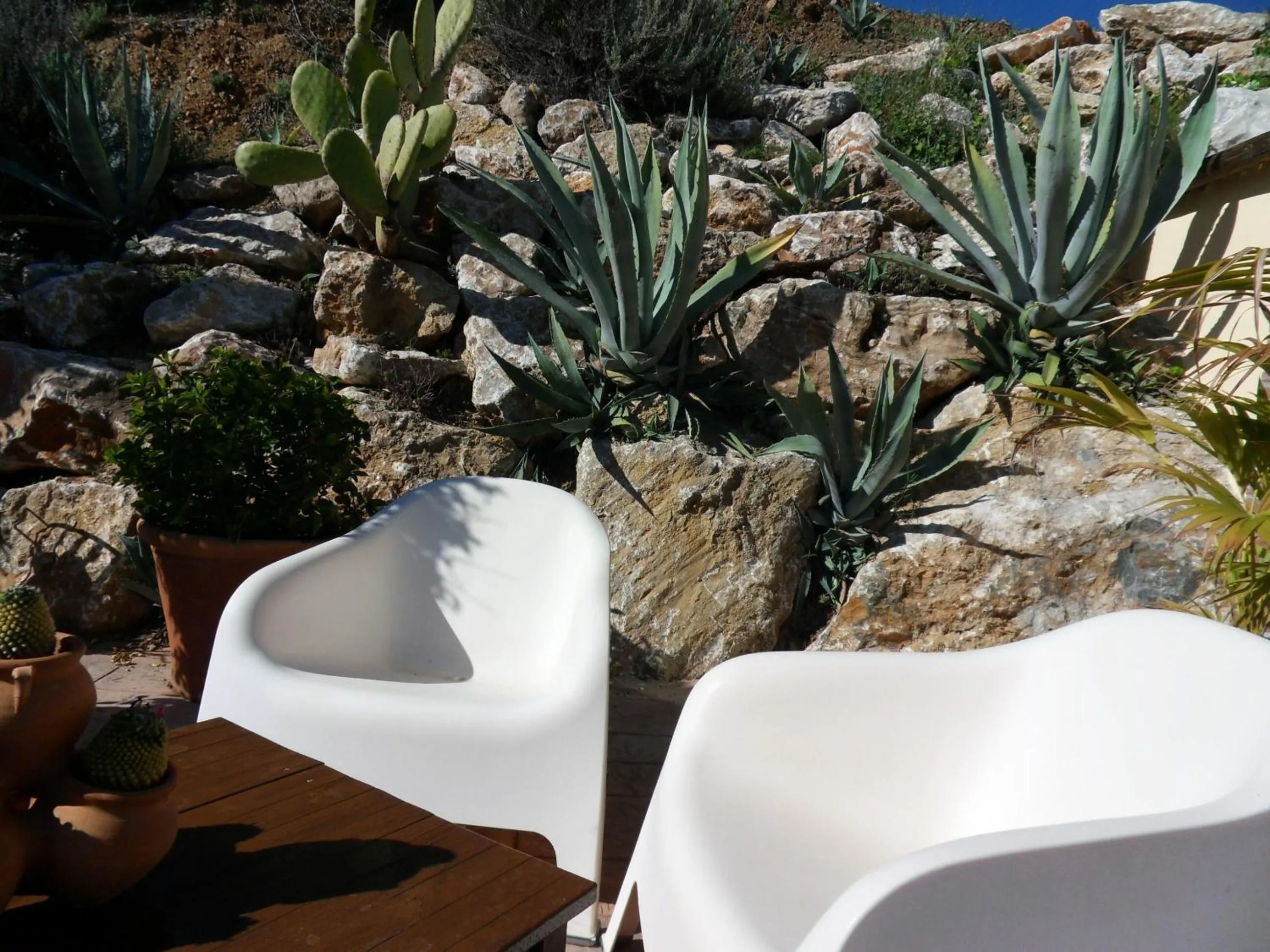 Balcony/Terrace in Bed & Breakfast | Guest House Casa Don Carlos