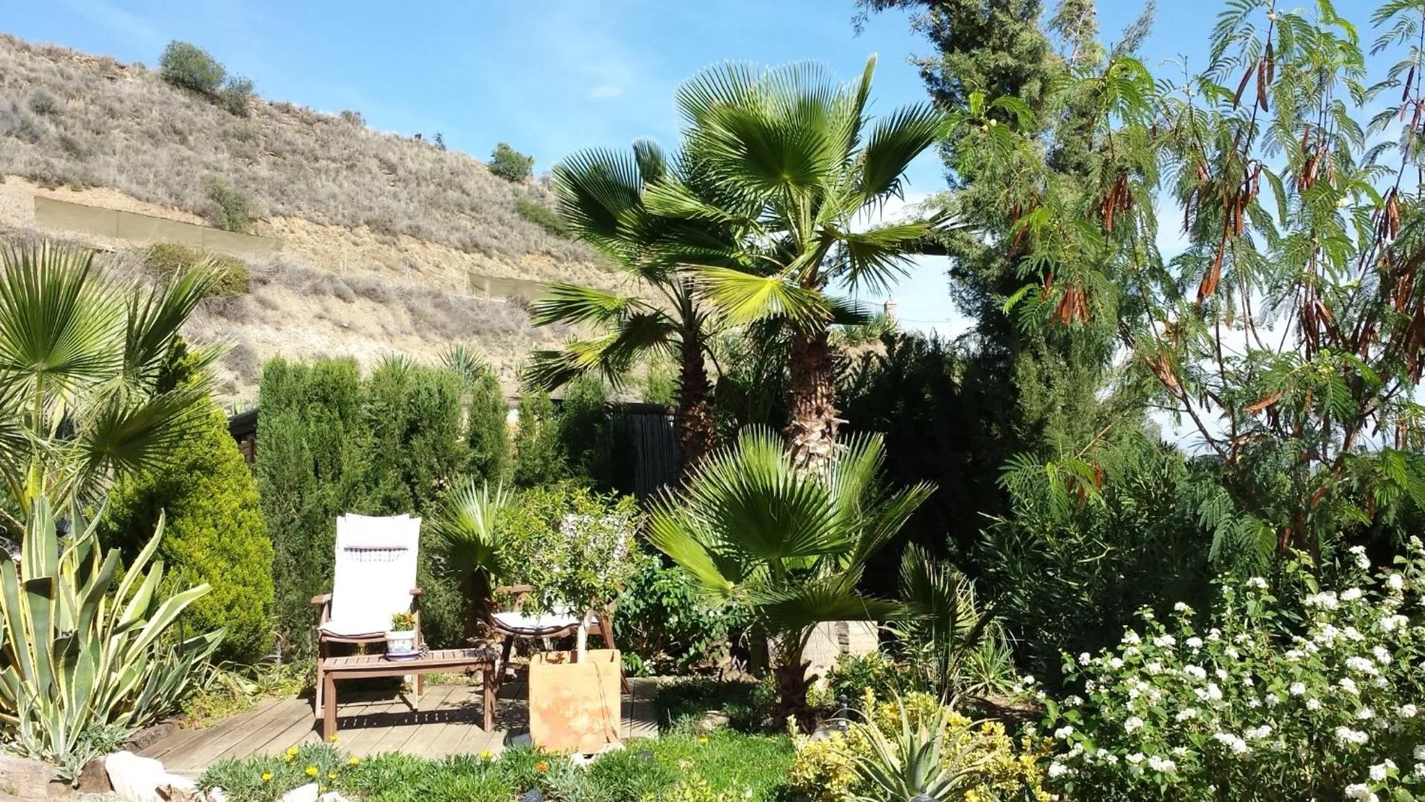 Garden in Bed & Breakfast | Guest House Casa Don Carlos