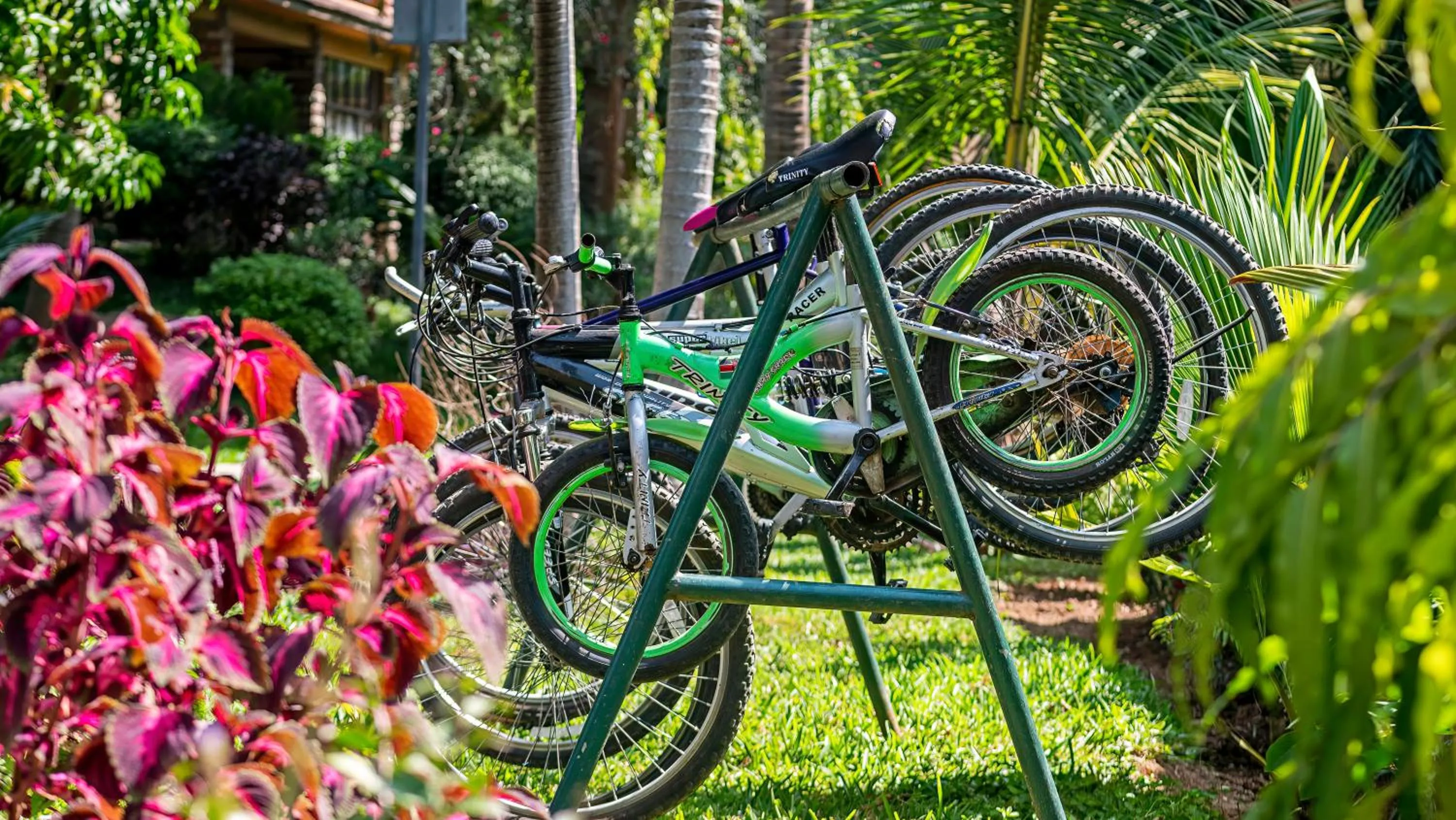 Activities in Lake Bogoria Spa Resort