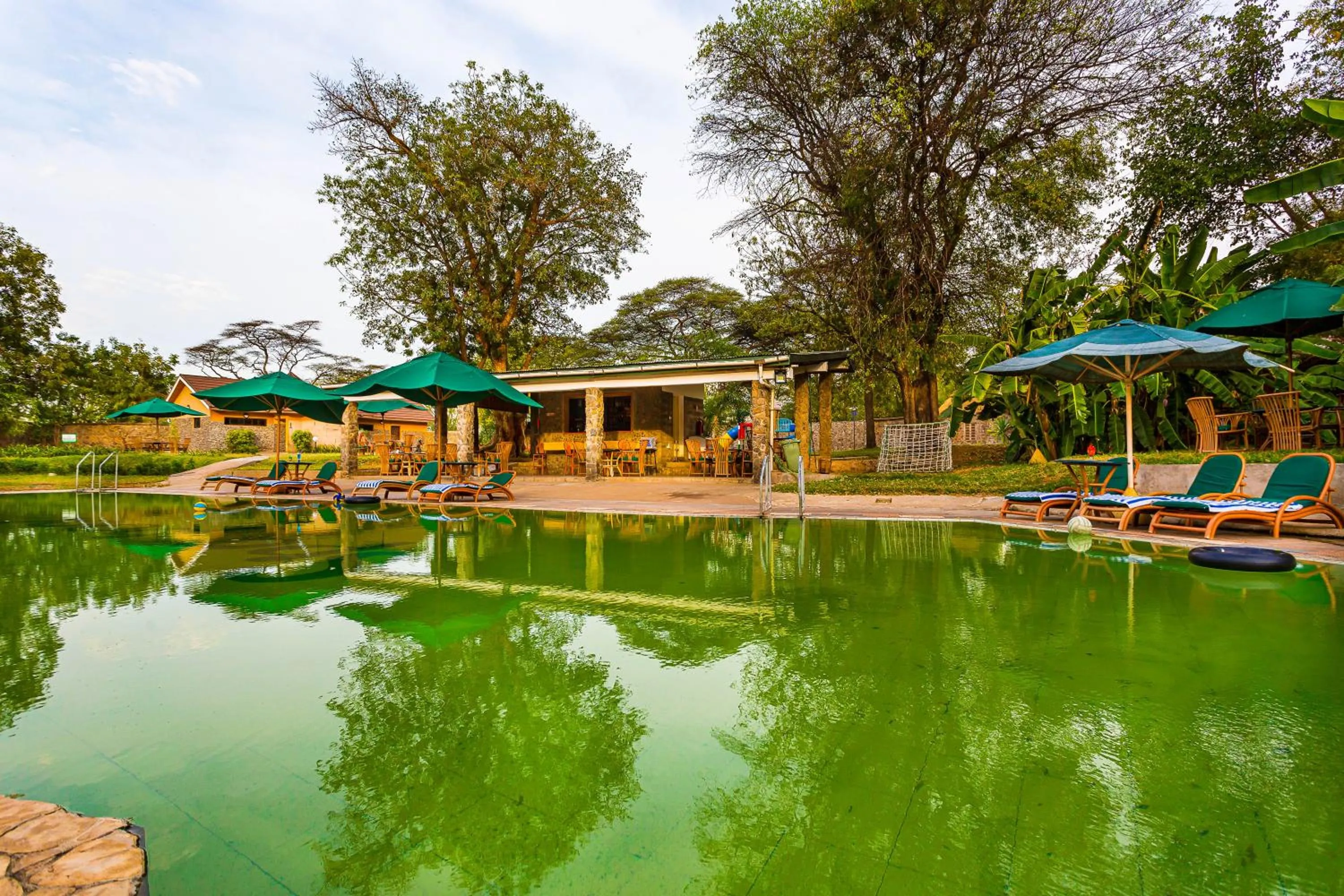 Spring in Lake Bogoria Spa Resort
