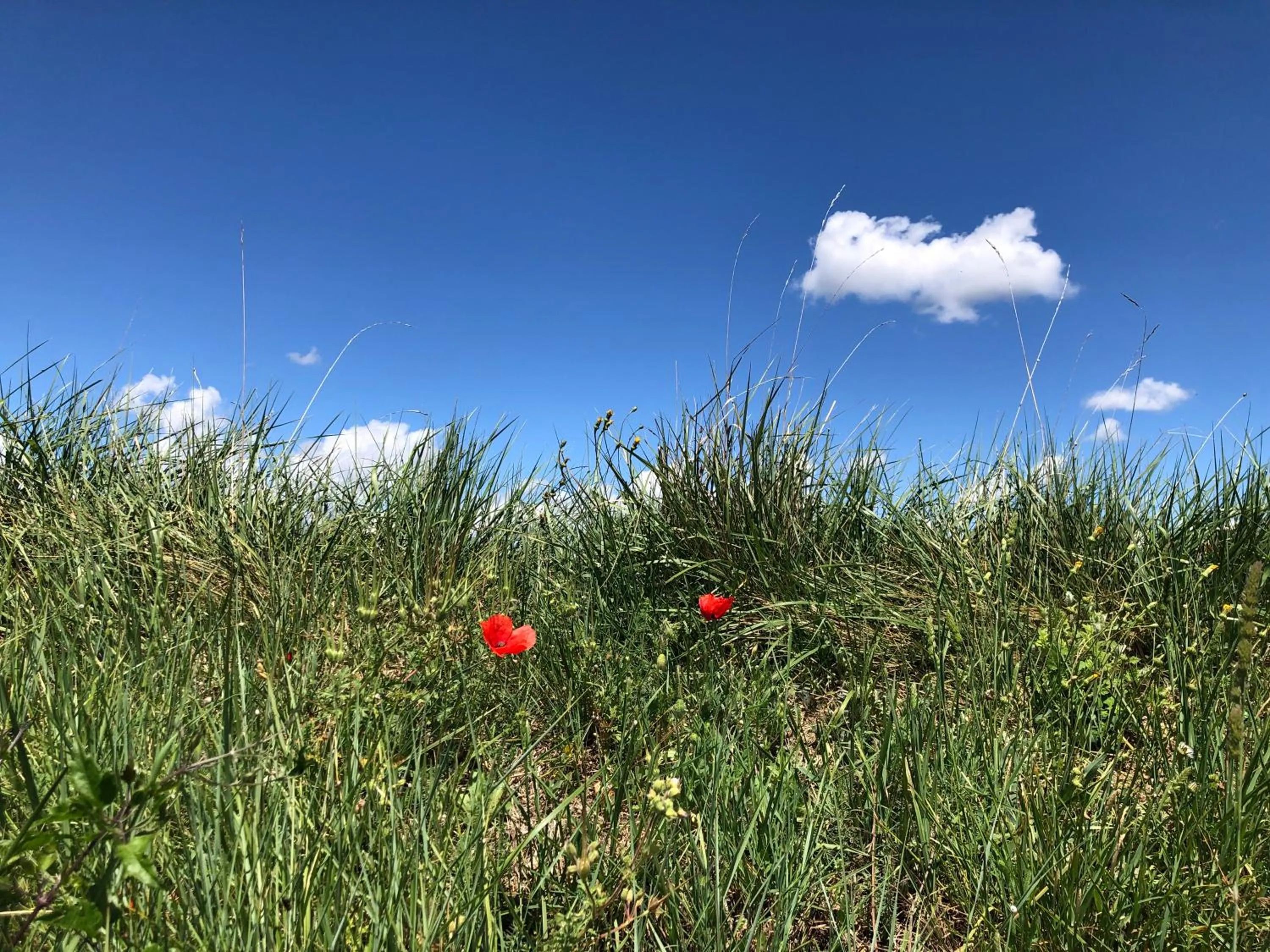 Day in les costebelles