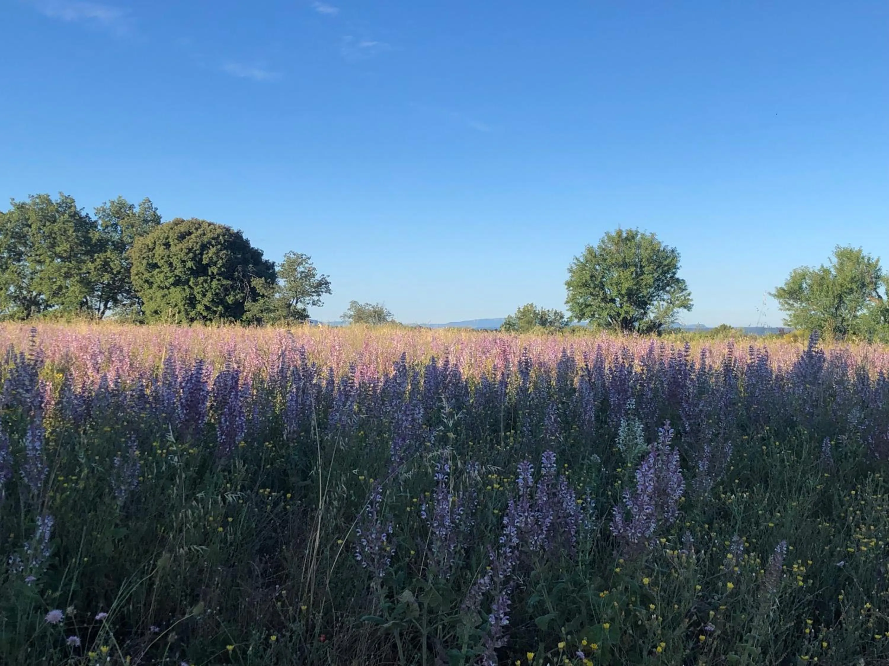 Off site in les costebelles