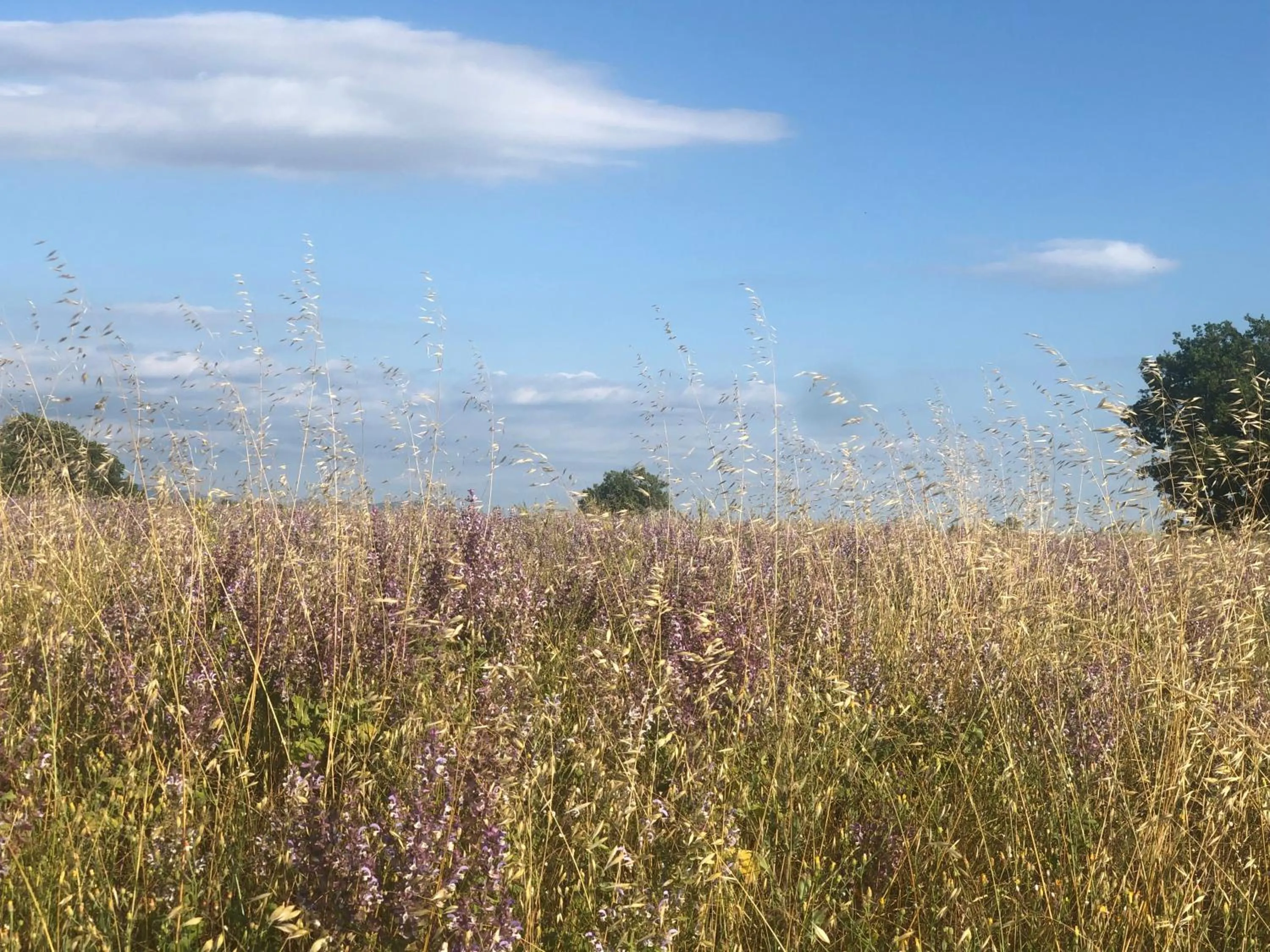 Off site in les costebelles