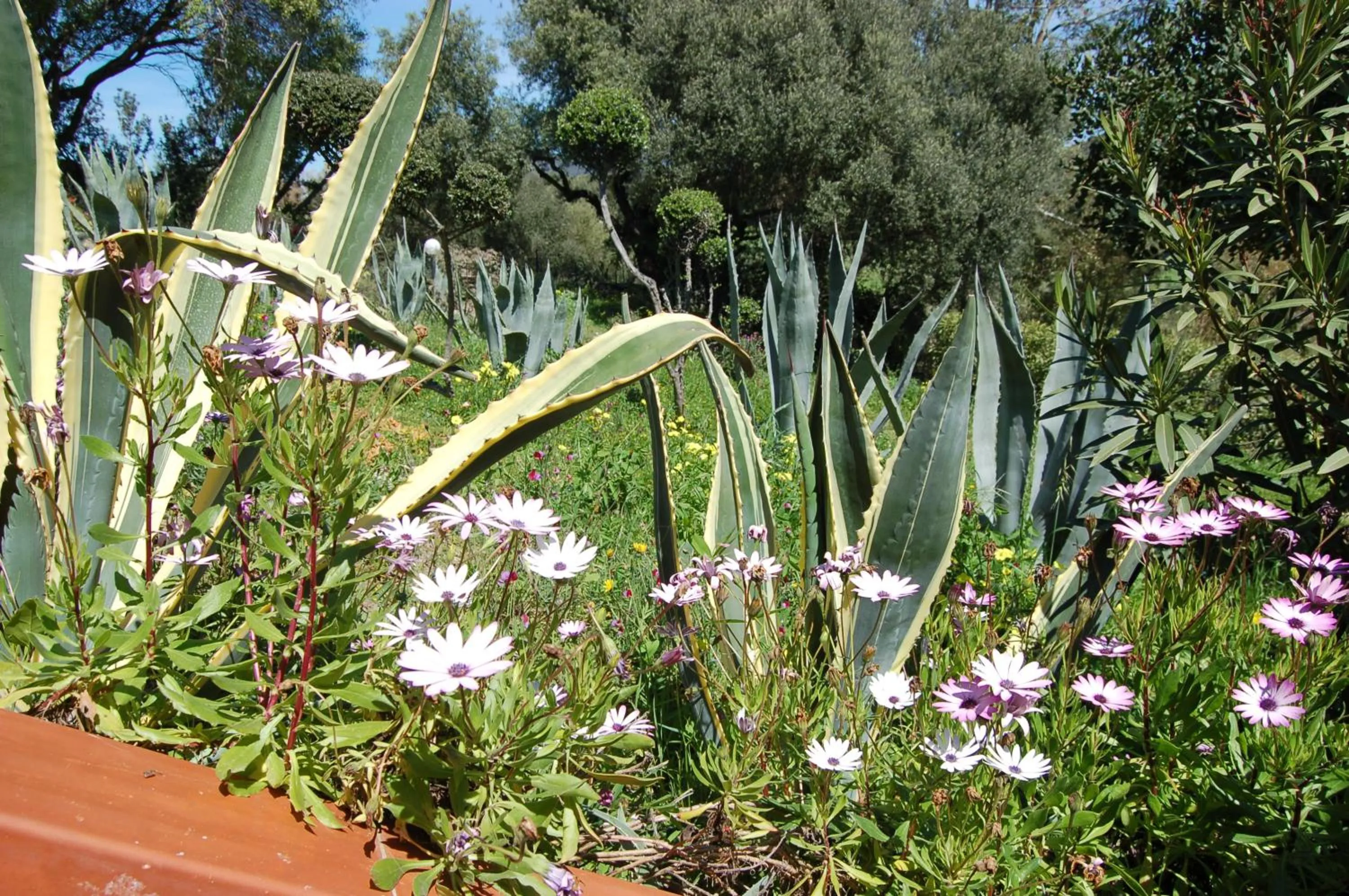Garden in Villa delle torri