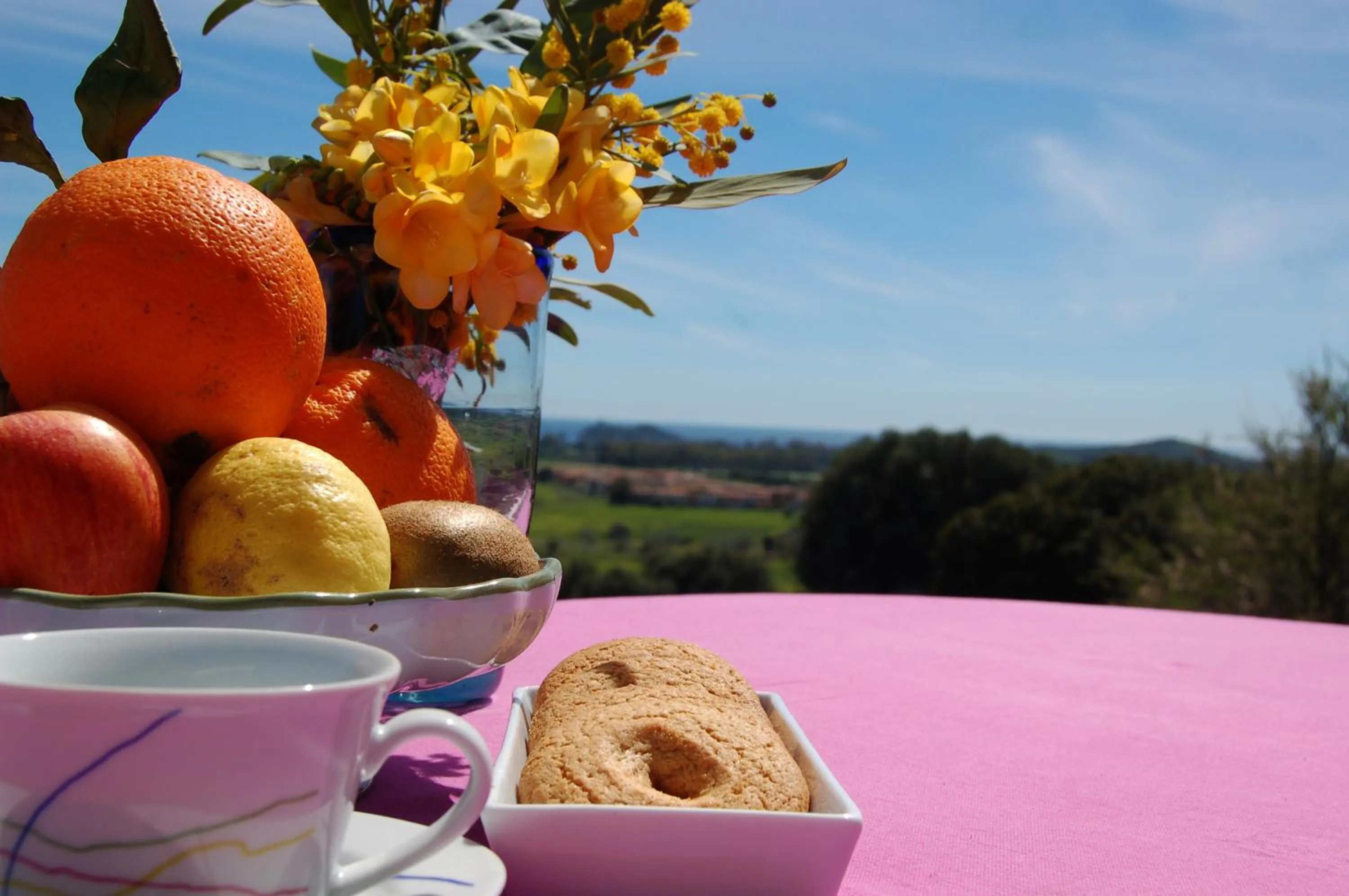 Garden in Villa delle torri