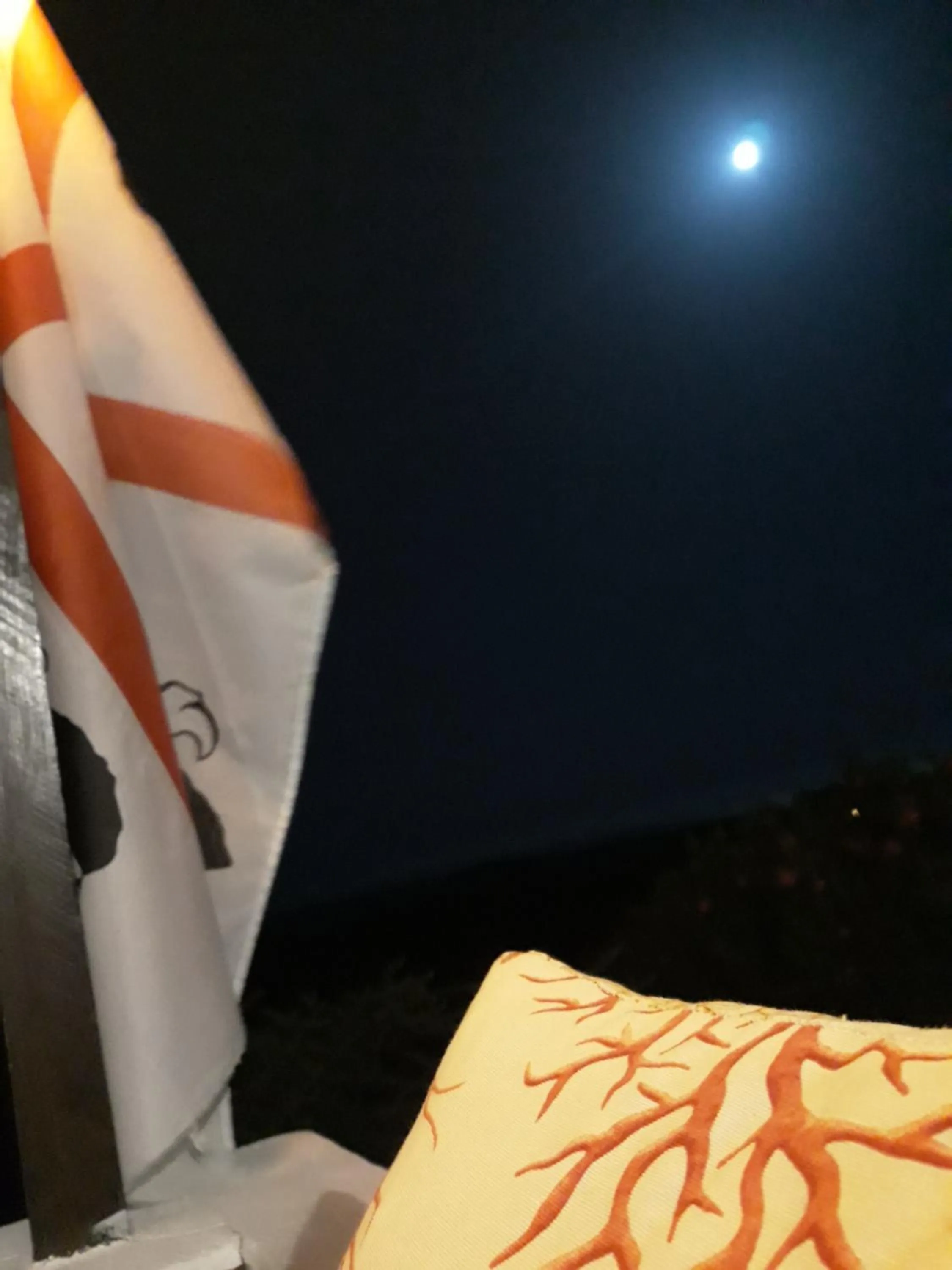 Decorative detail in Villa delle torri