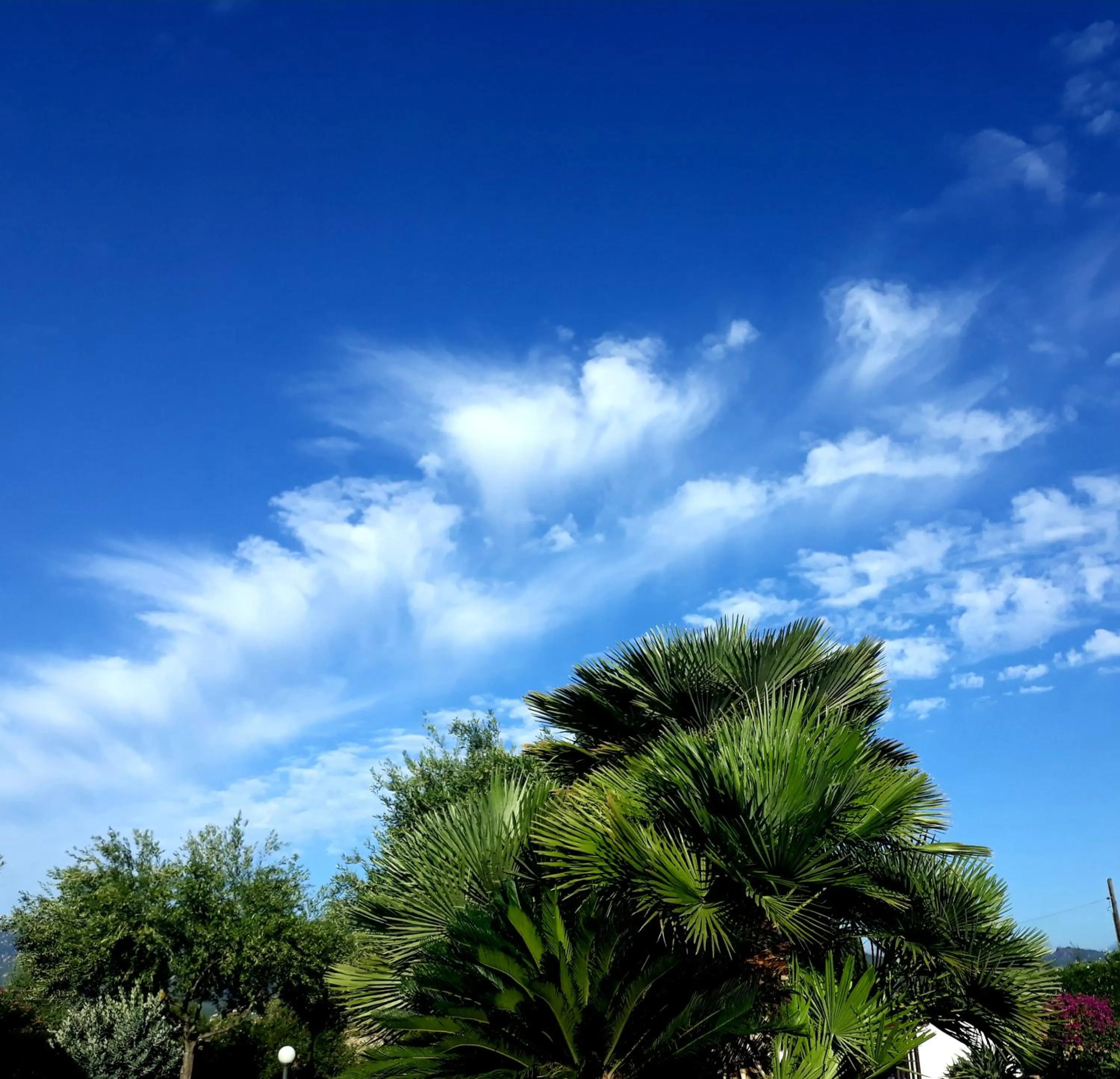 Garden in Villa delle torri