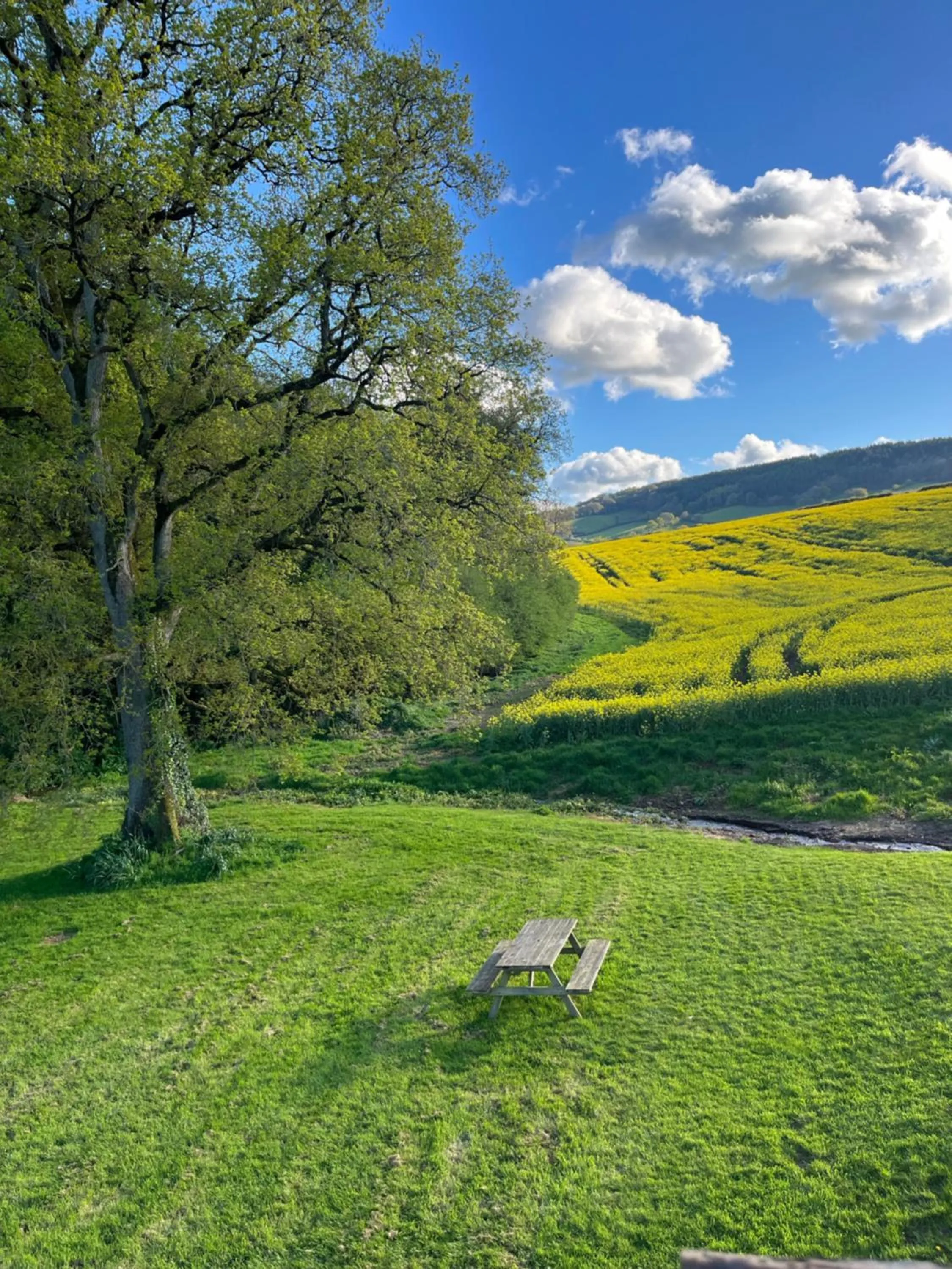 Garden view in Lower Thornton Farm