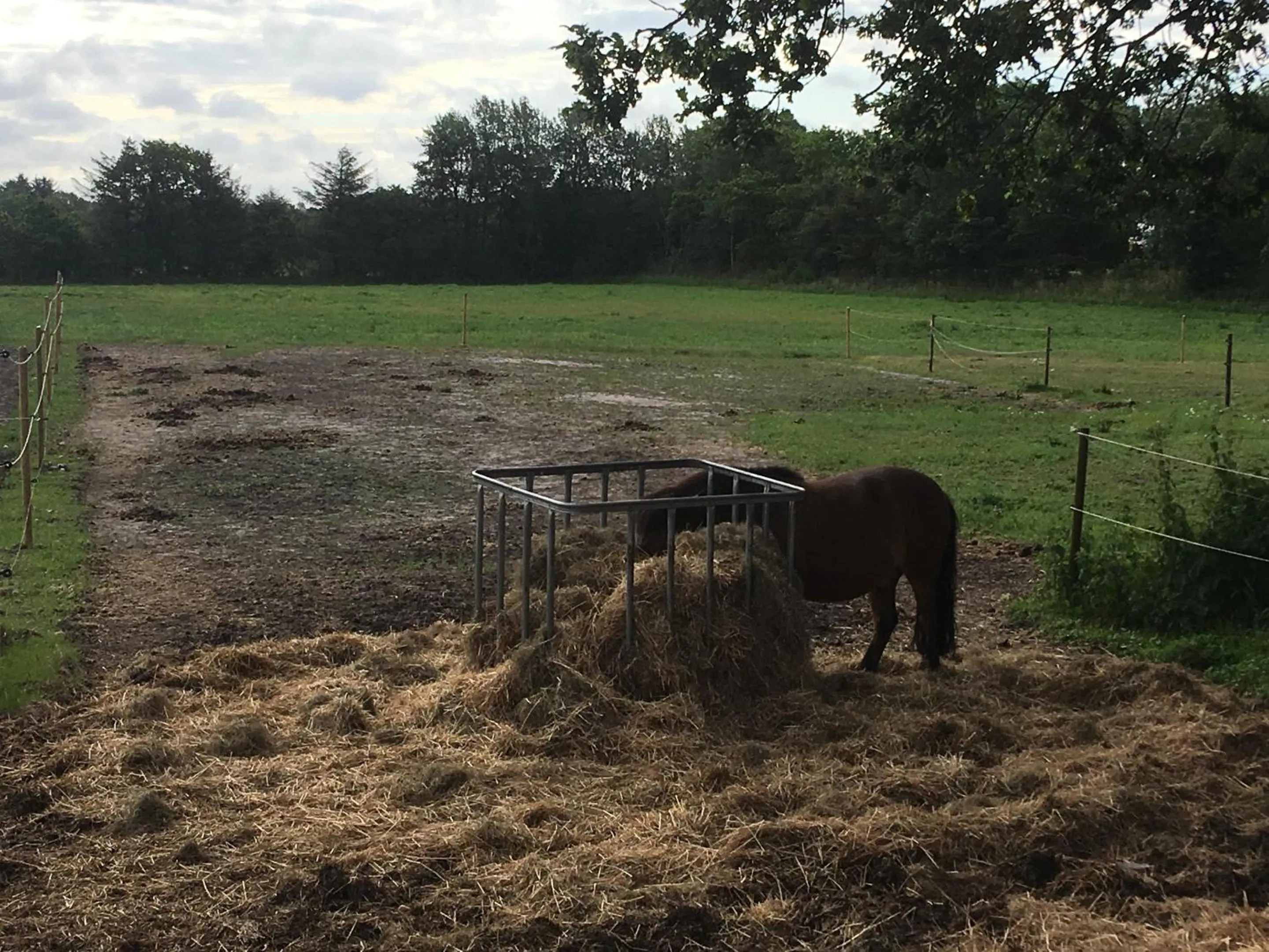 Other in Bed & Breakfast Tistrup