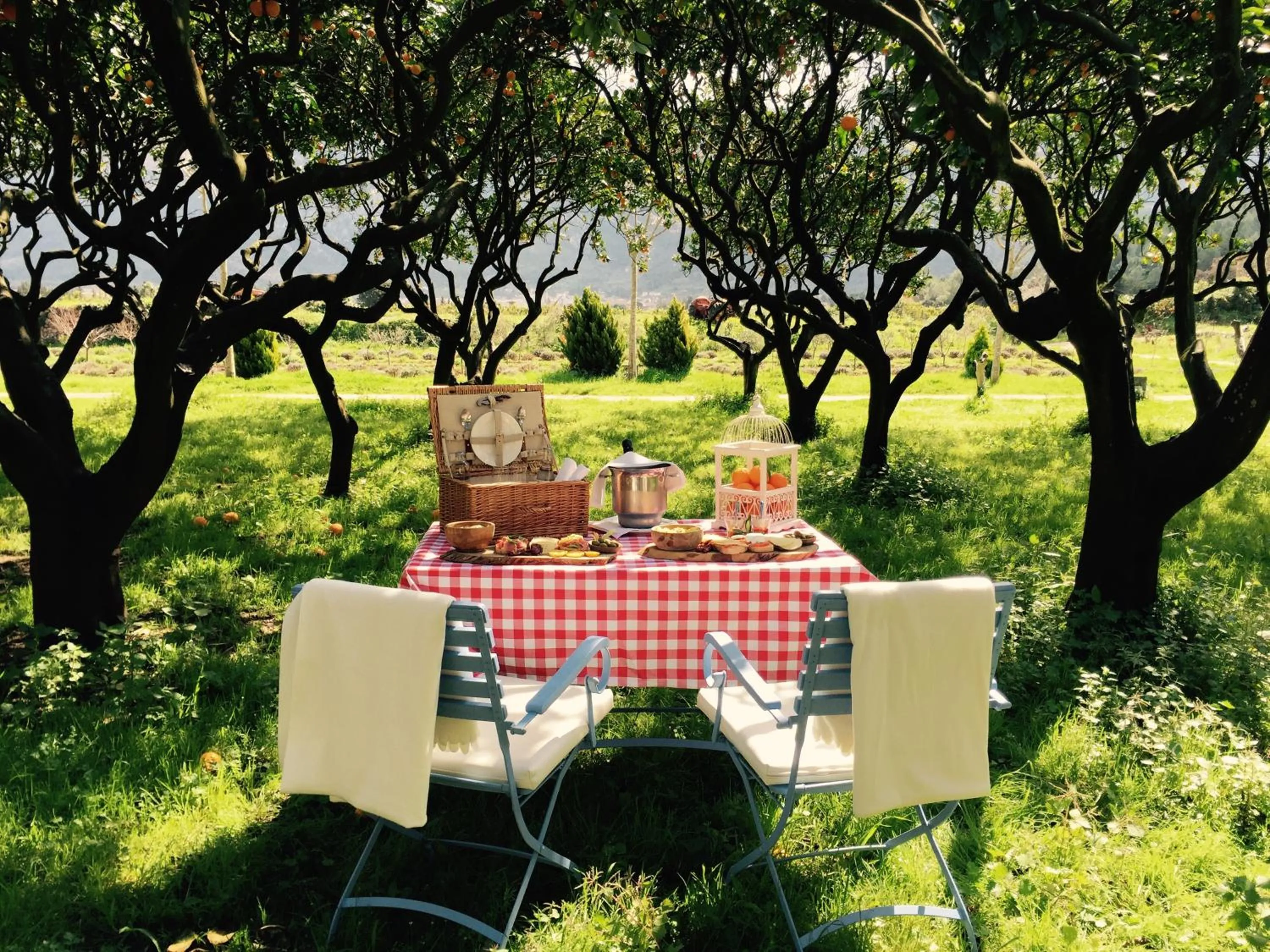 Restaurant/places to eat in Hotel Finca Ca N'ai - Adults Only