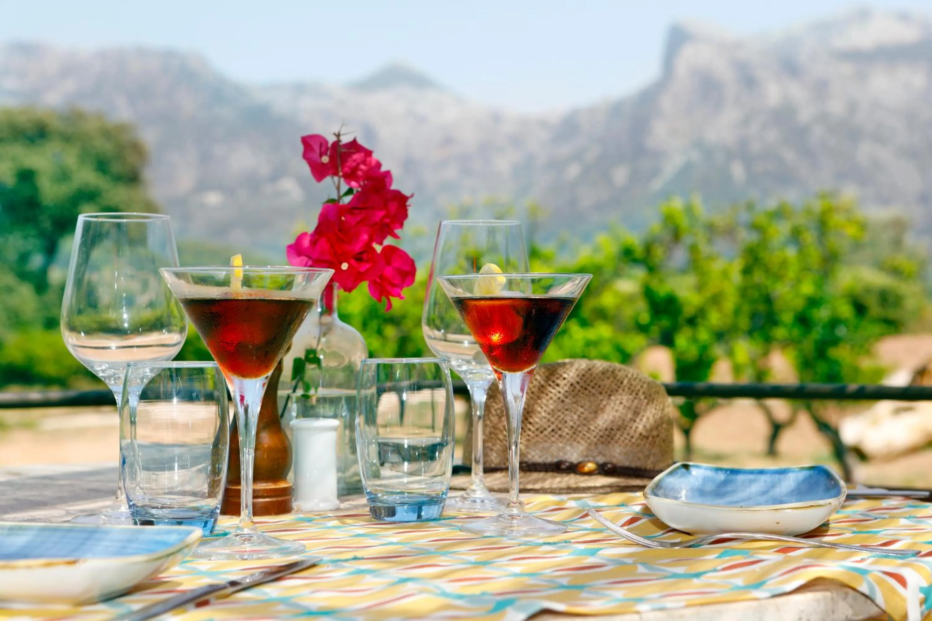 Alcoholic drinks in Hotel Finca Ca N'ai - Adults Only