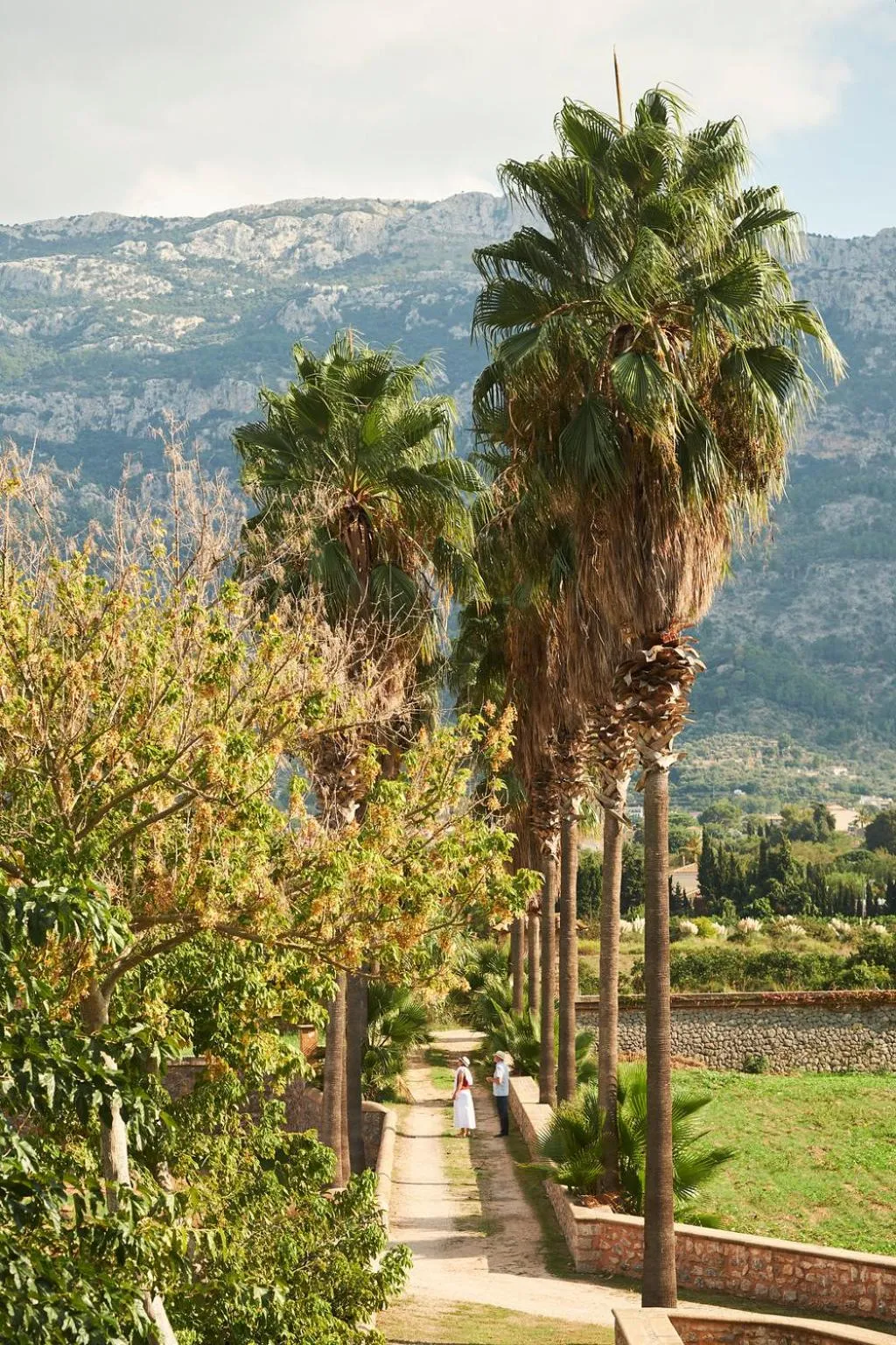 Garden in Hotel Finca Ca N'ai - Adults Only