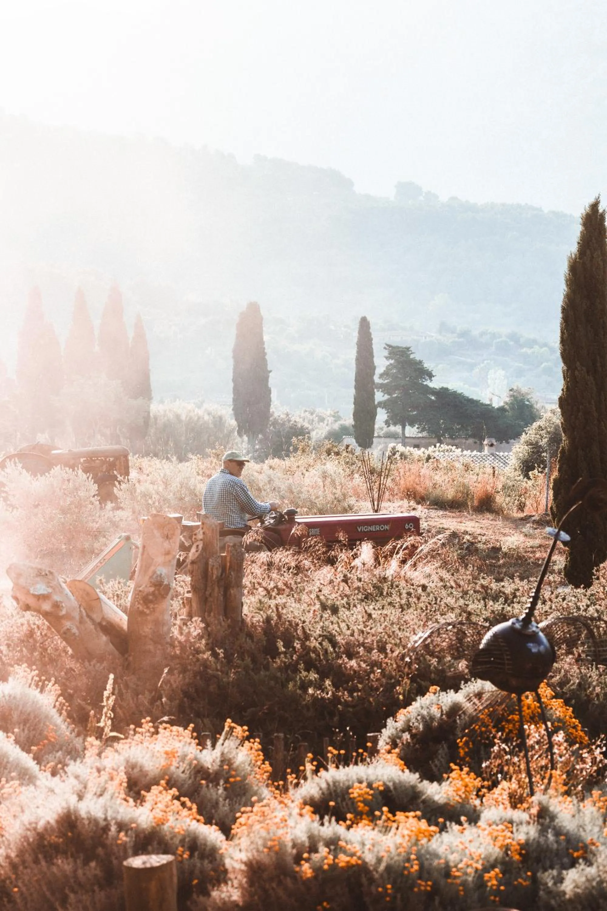 Natural landscape in Hotel Finca Ca N'ai - Adults Only