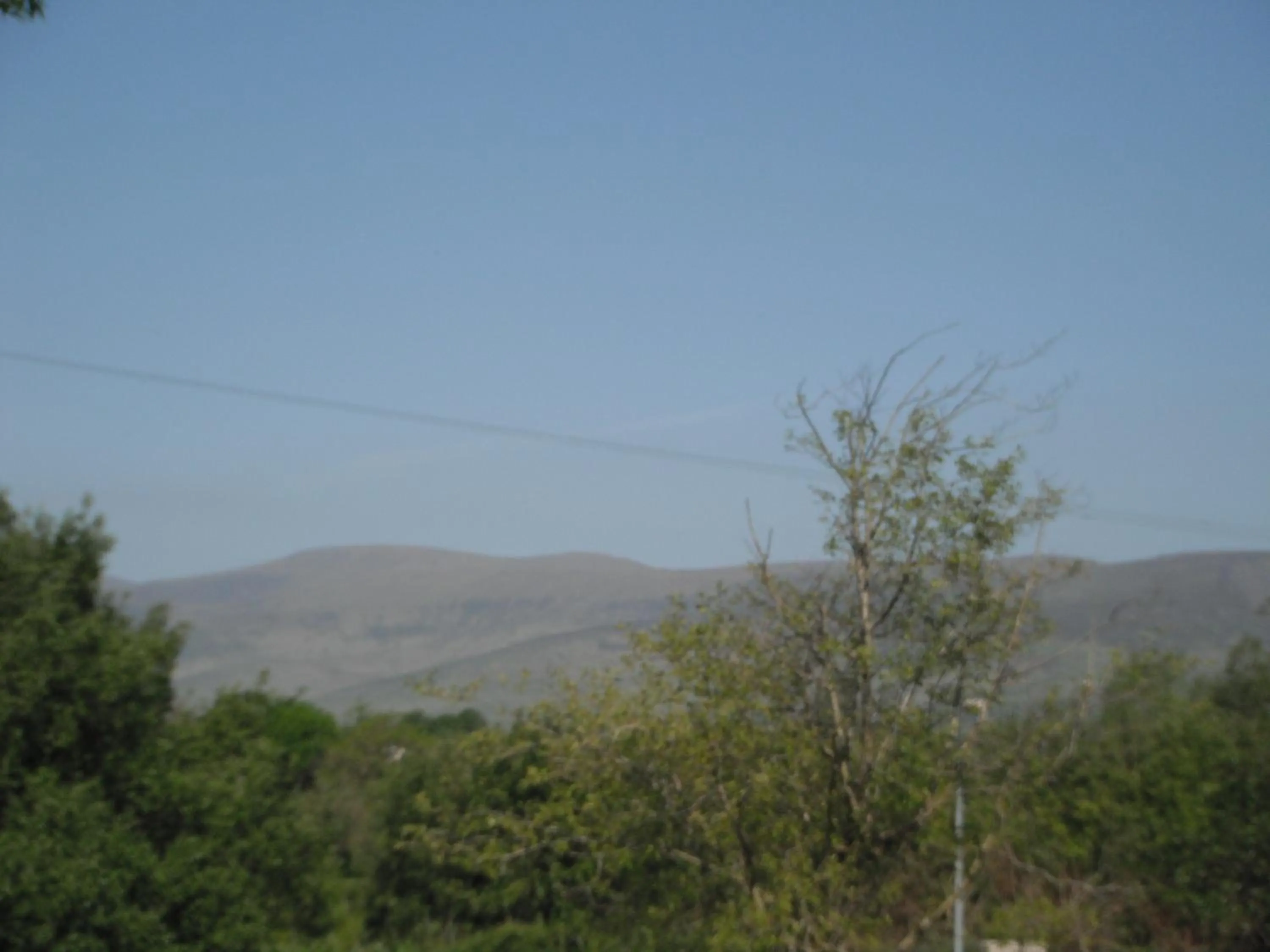 Other in Castlemaine House B&B