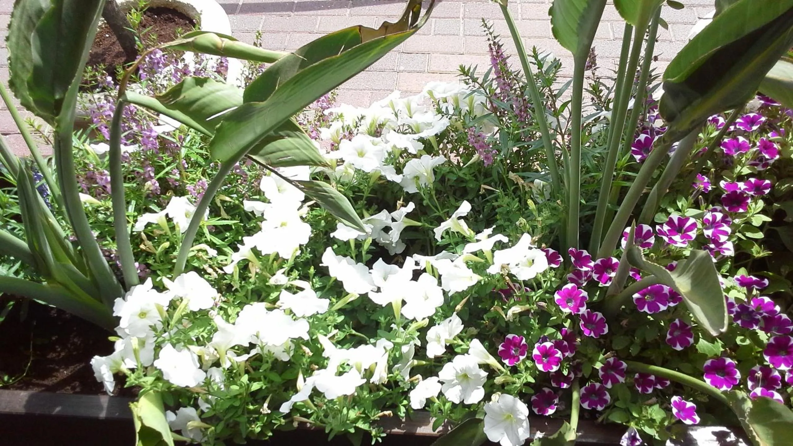 Balcony/Terrace in Rothschild Mansion