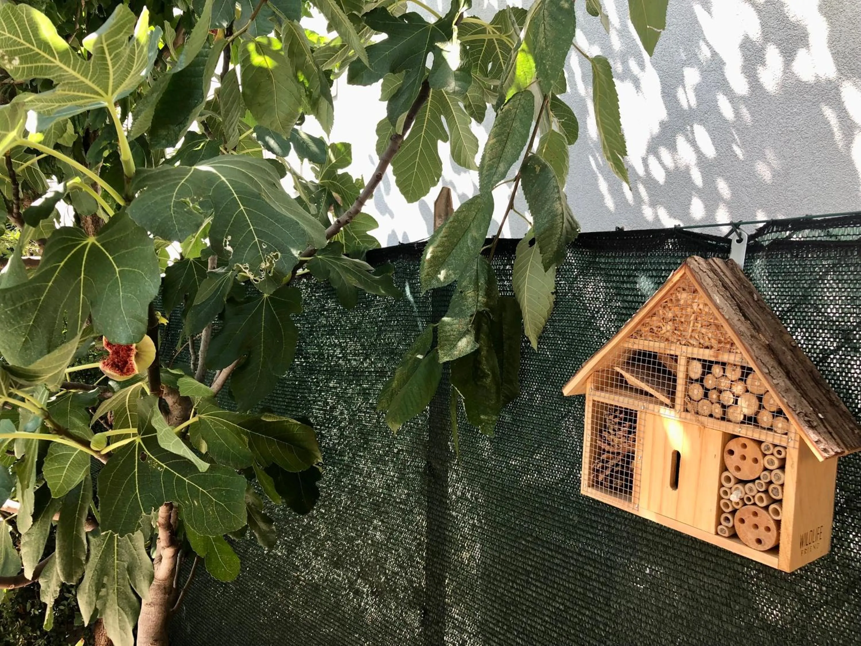 Garden in Affittacamere Due Mori