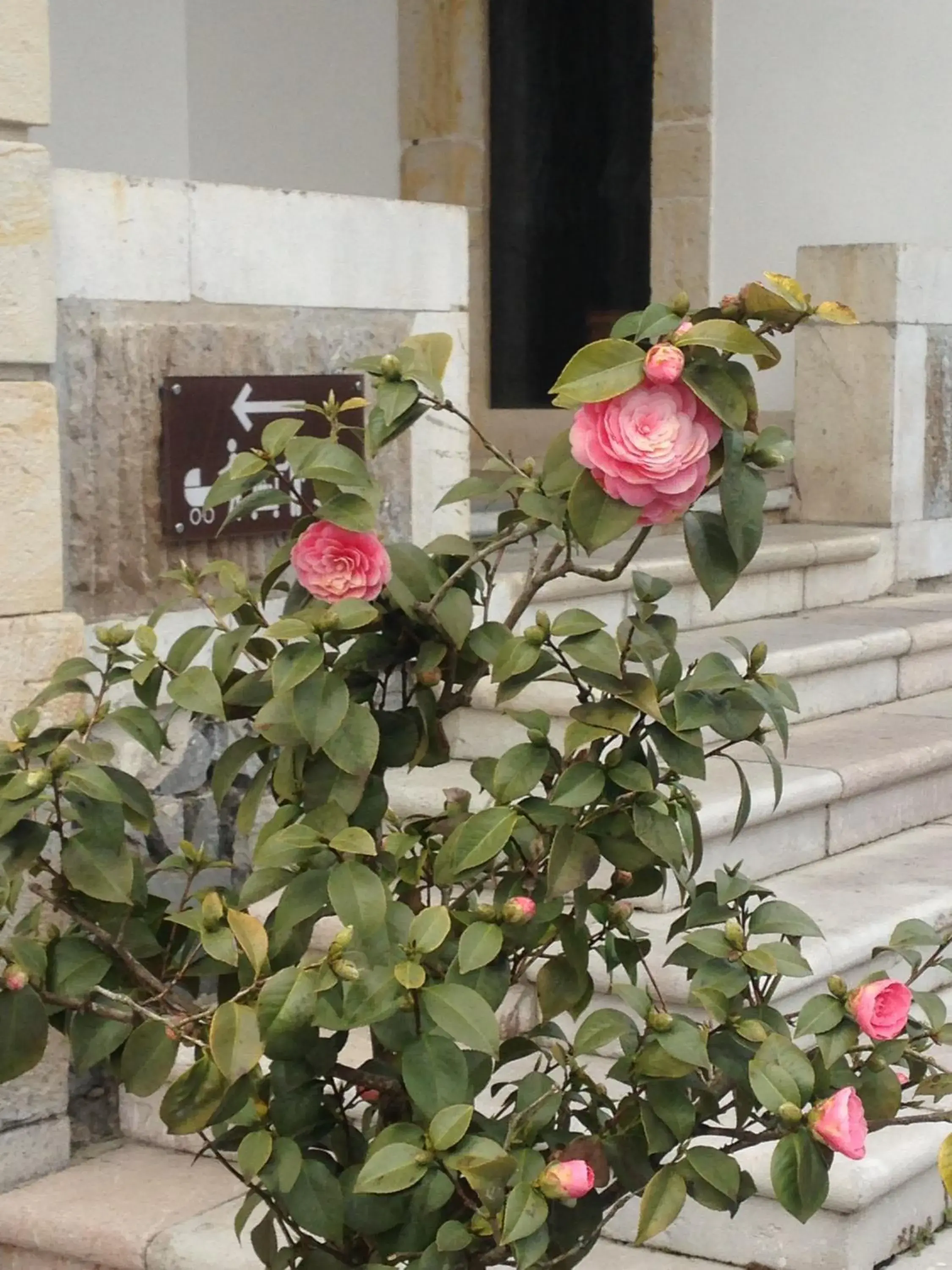 Facade/entrance in Hotel Granda Facade/entrance in Hotel Granda