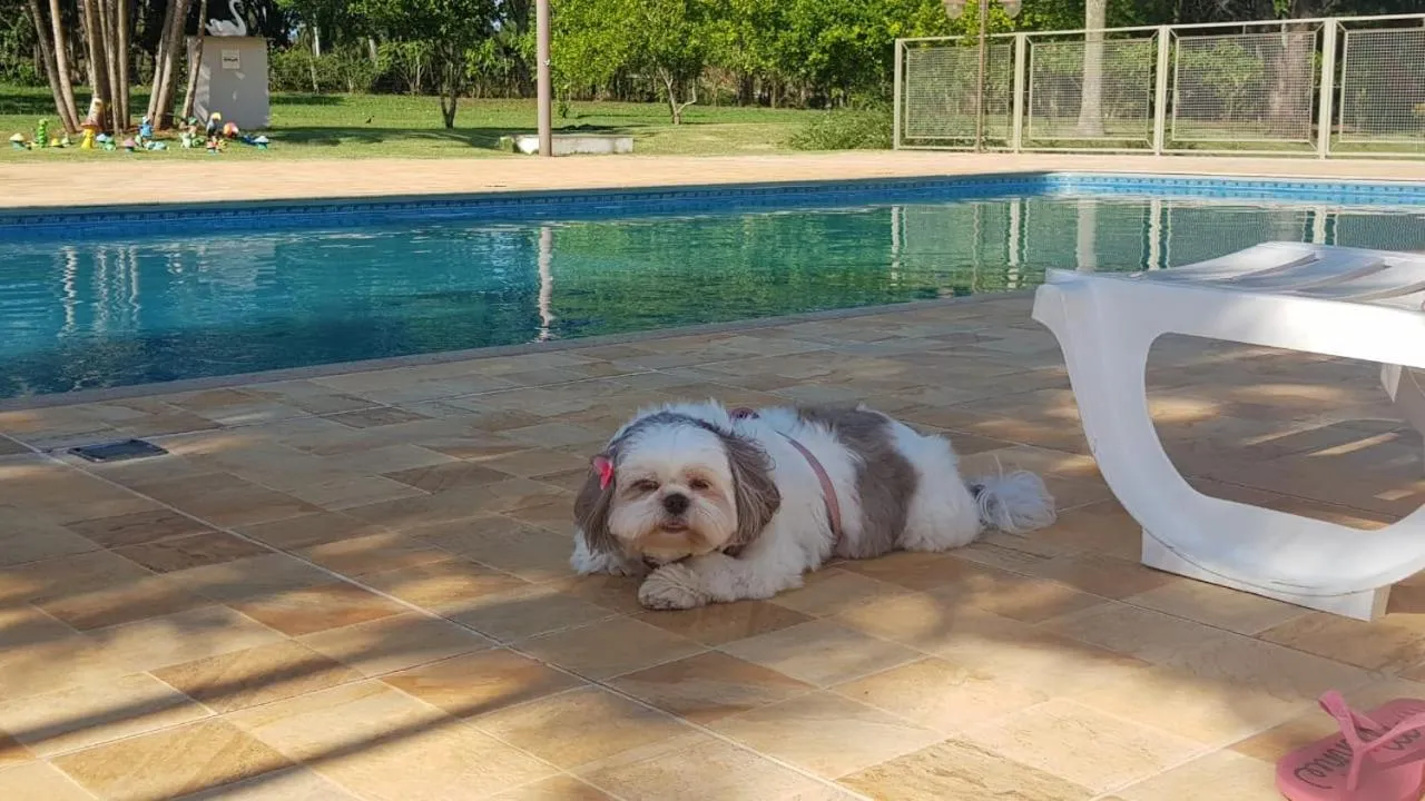 Swimming pool in Hotel Kaeru