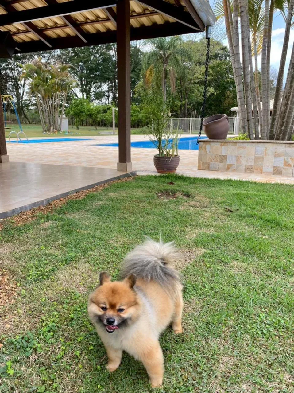 Swimming pool in Hotel Kaeru
