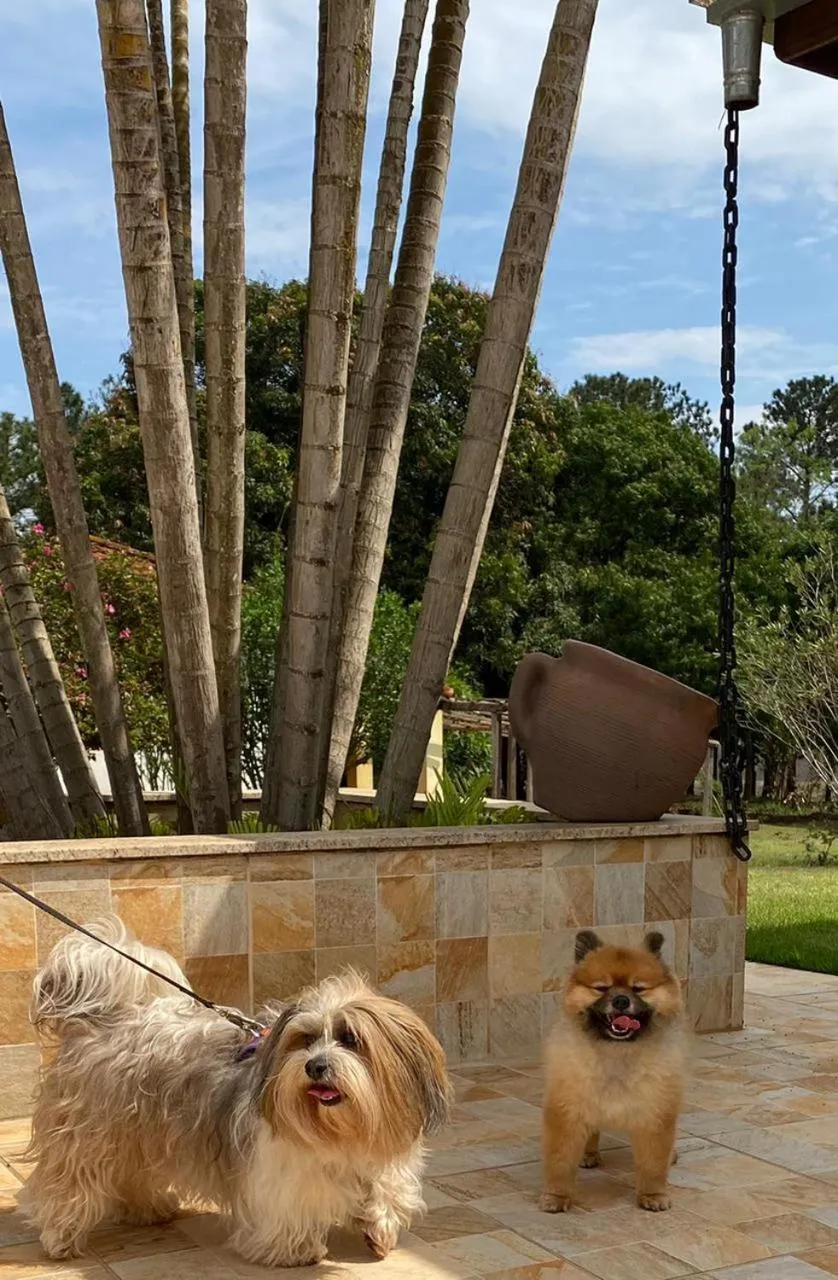 Patio in Hotel Kaeru