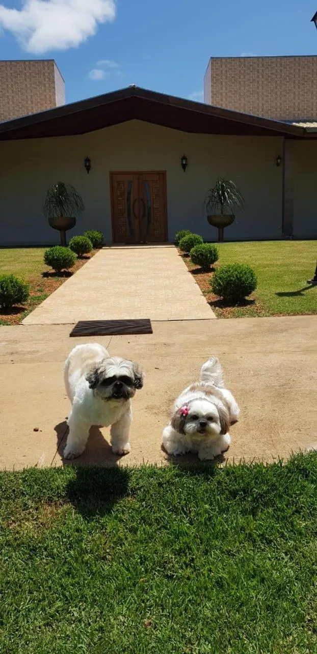 Facade/entrance in Hotel Kaeru