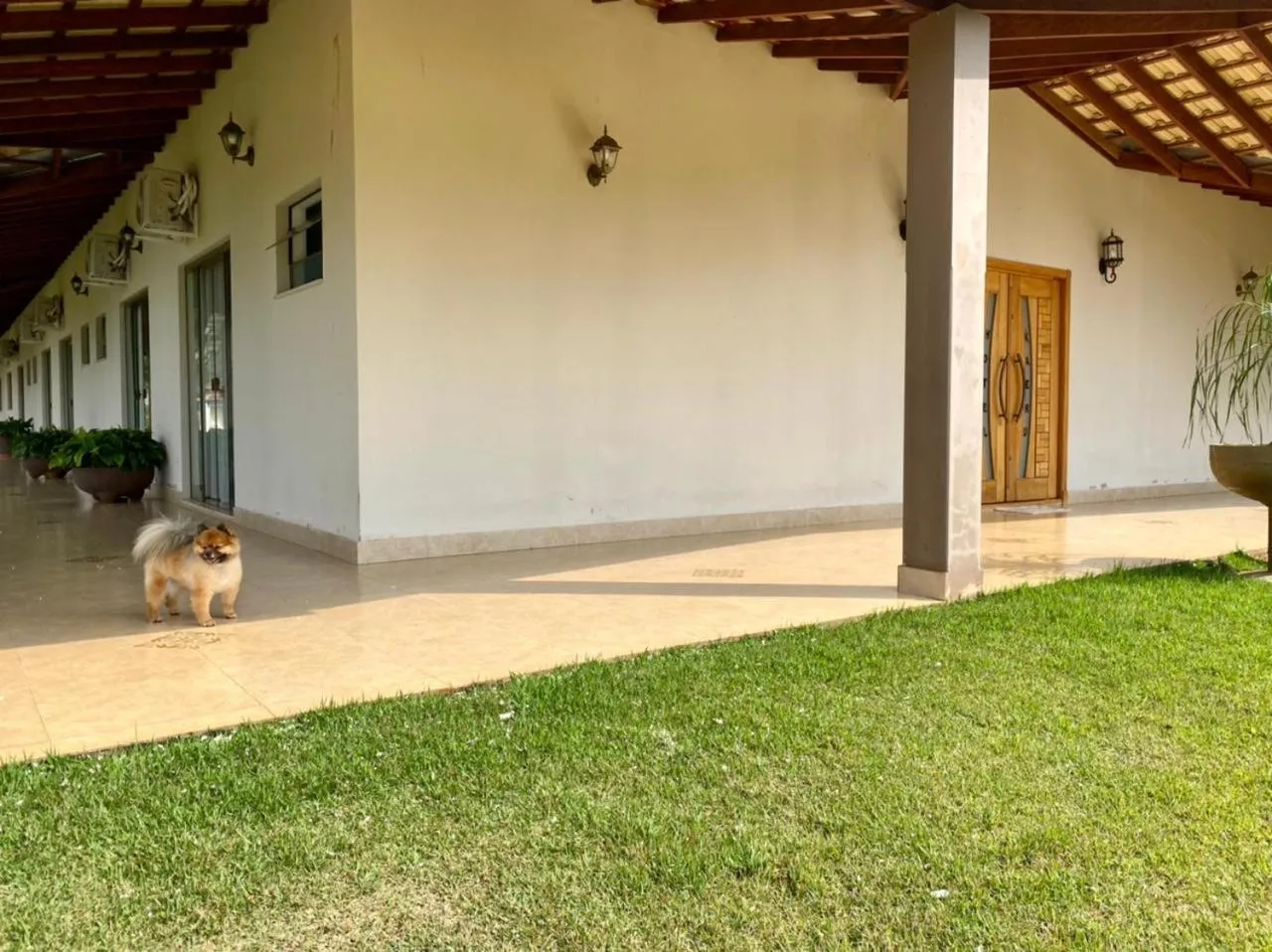 Patio in Hotel Kaeru