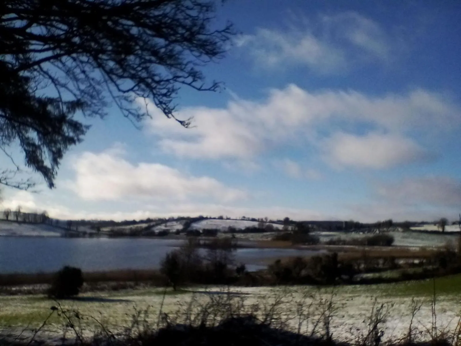 Day in Hawthorn Lodge