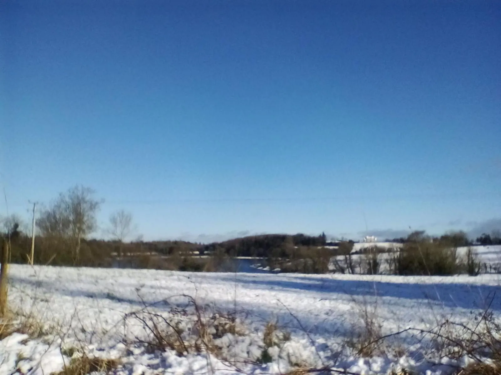 Day in Hawthorn Lodge