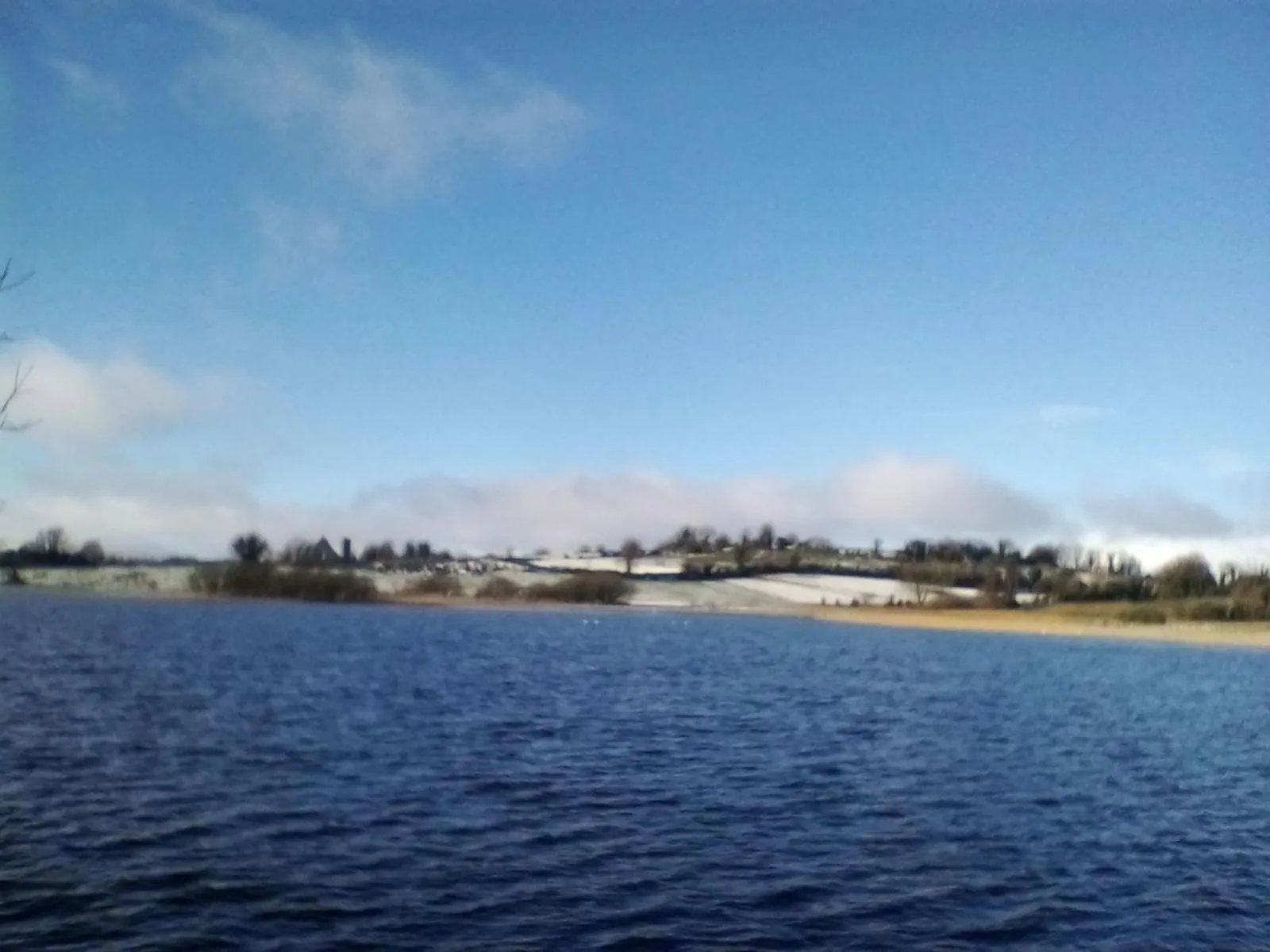 Day in Hawthorn Lodge