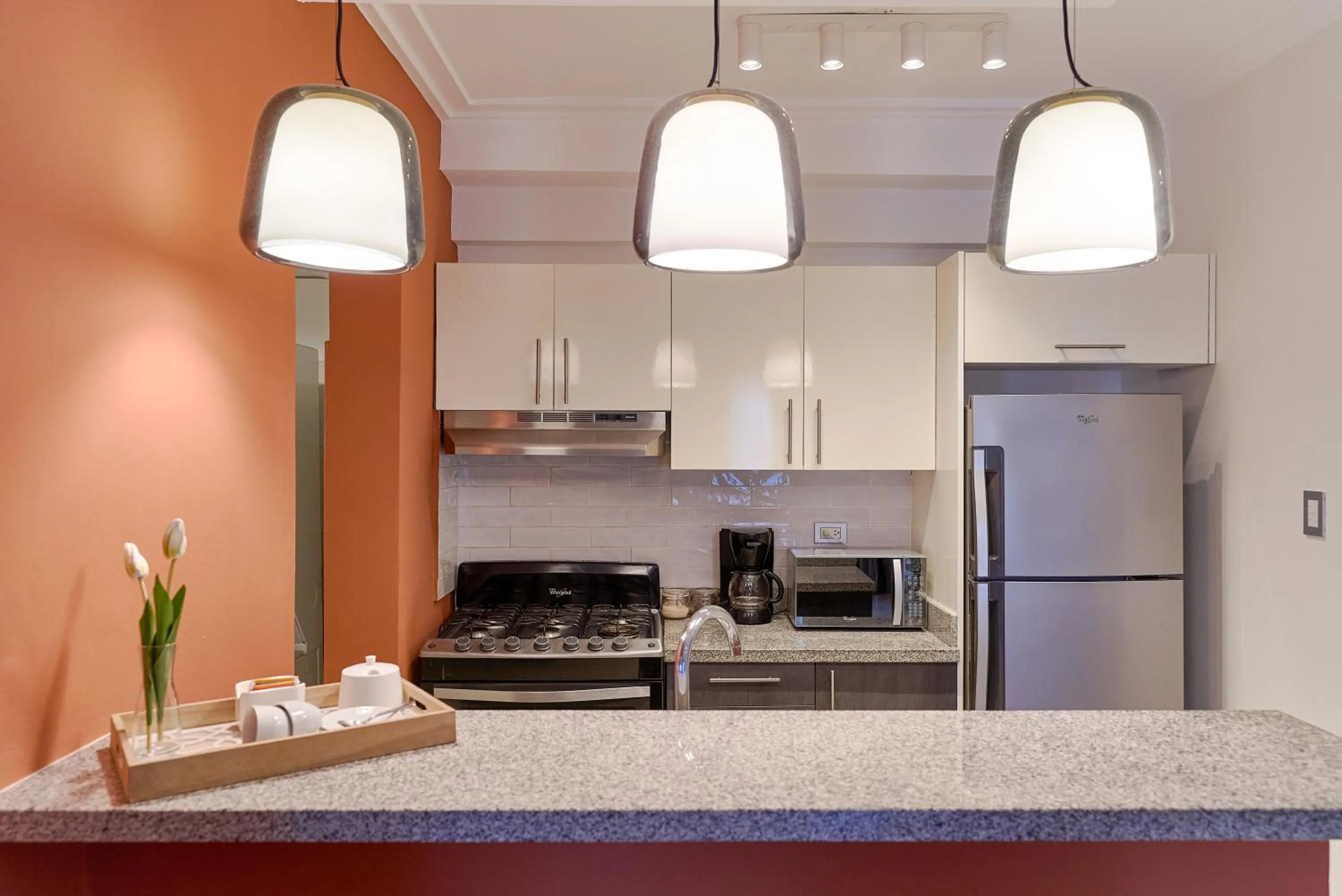 kitchen in Central Park Tower