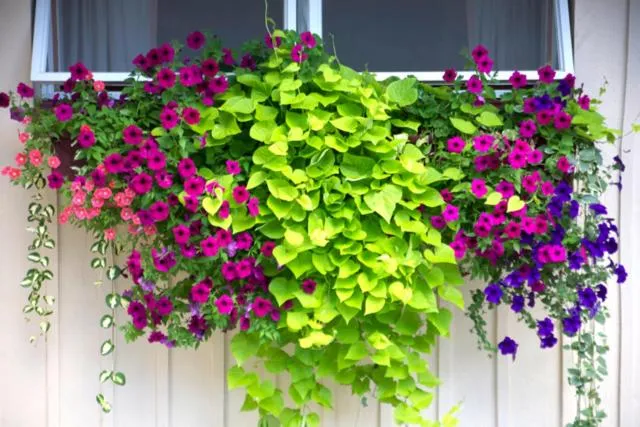 Decorative detail in Sunset Motor Inn