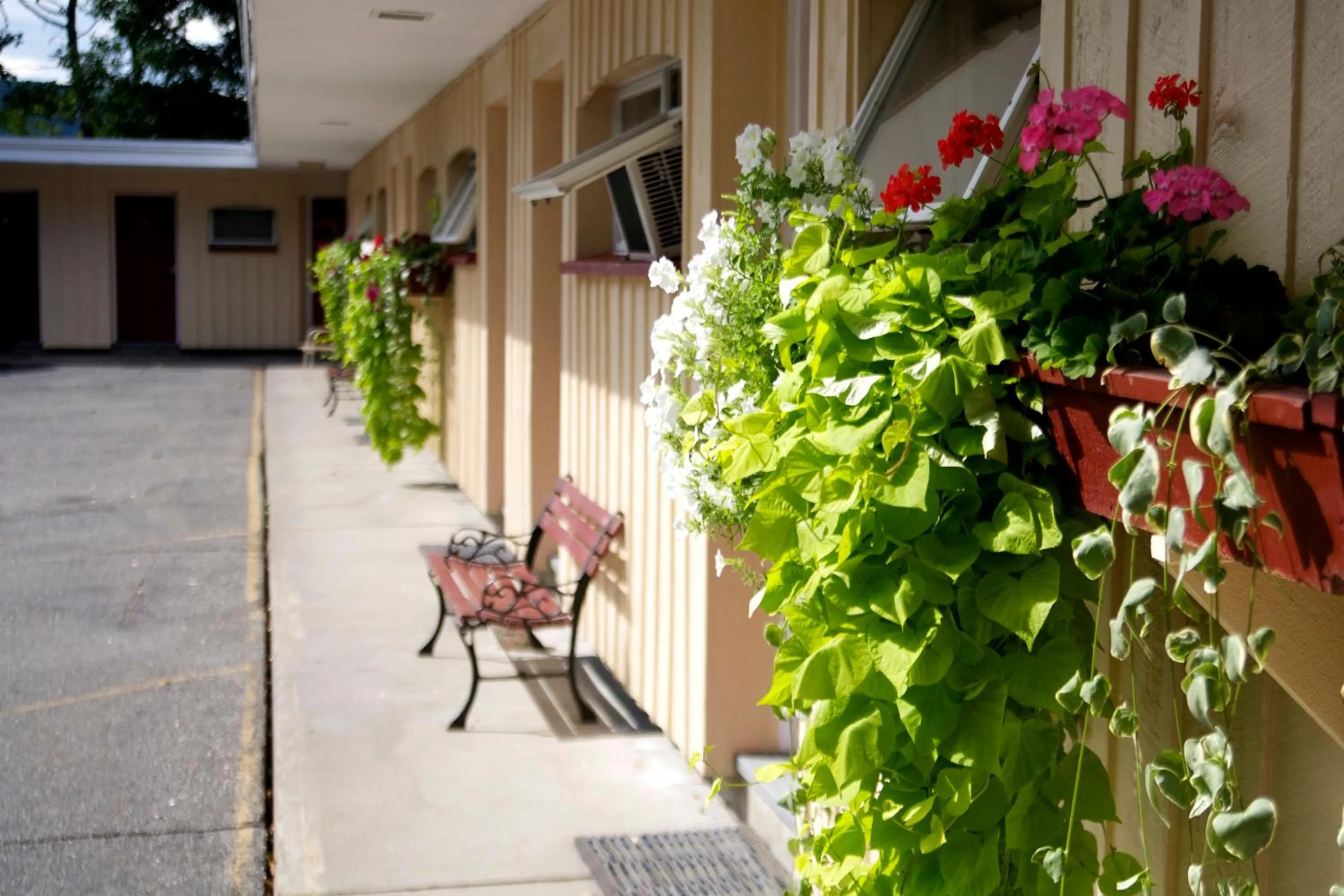 Facade/entrance in Sunset Motor Inn