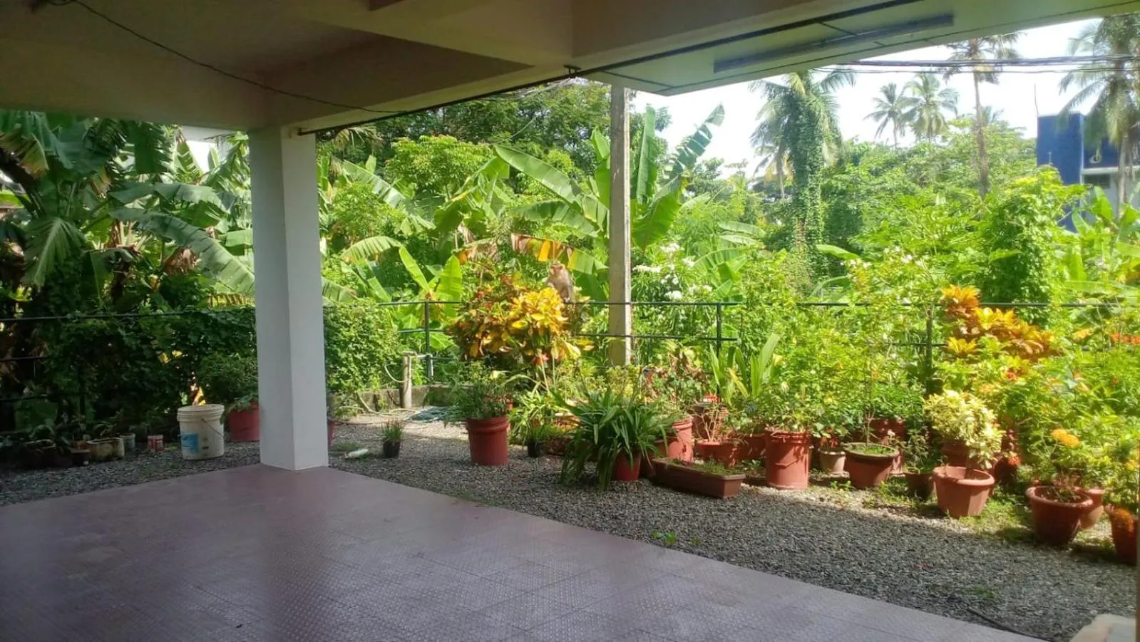 Garden in Indeevaram Residency