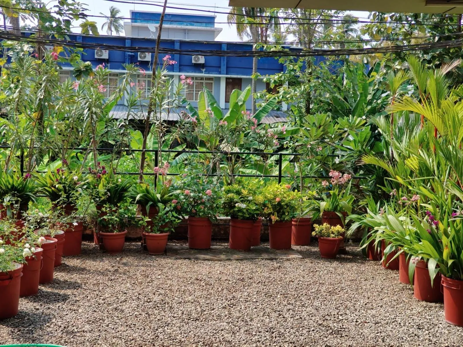 Garden in Indeevaram Residency