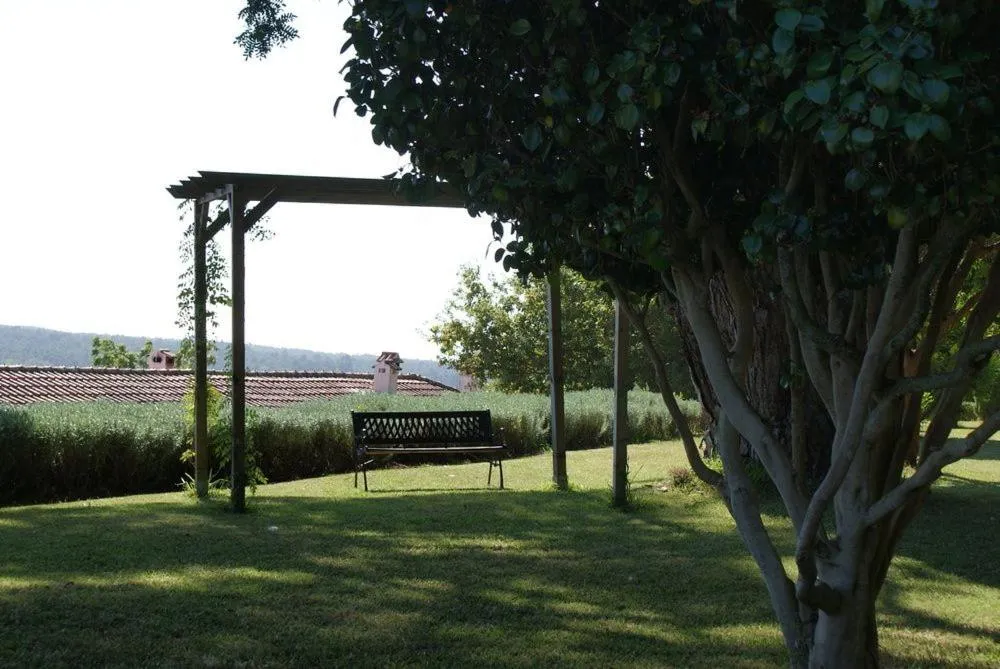 Garden in Quinta do Paco d'Anha