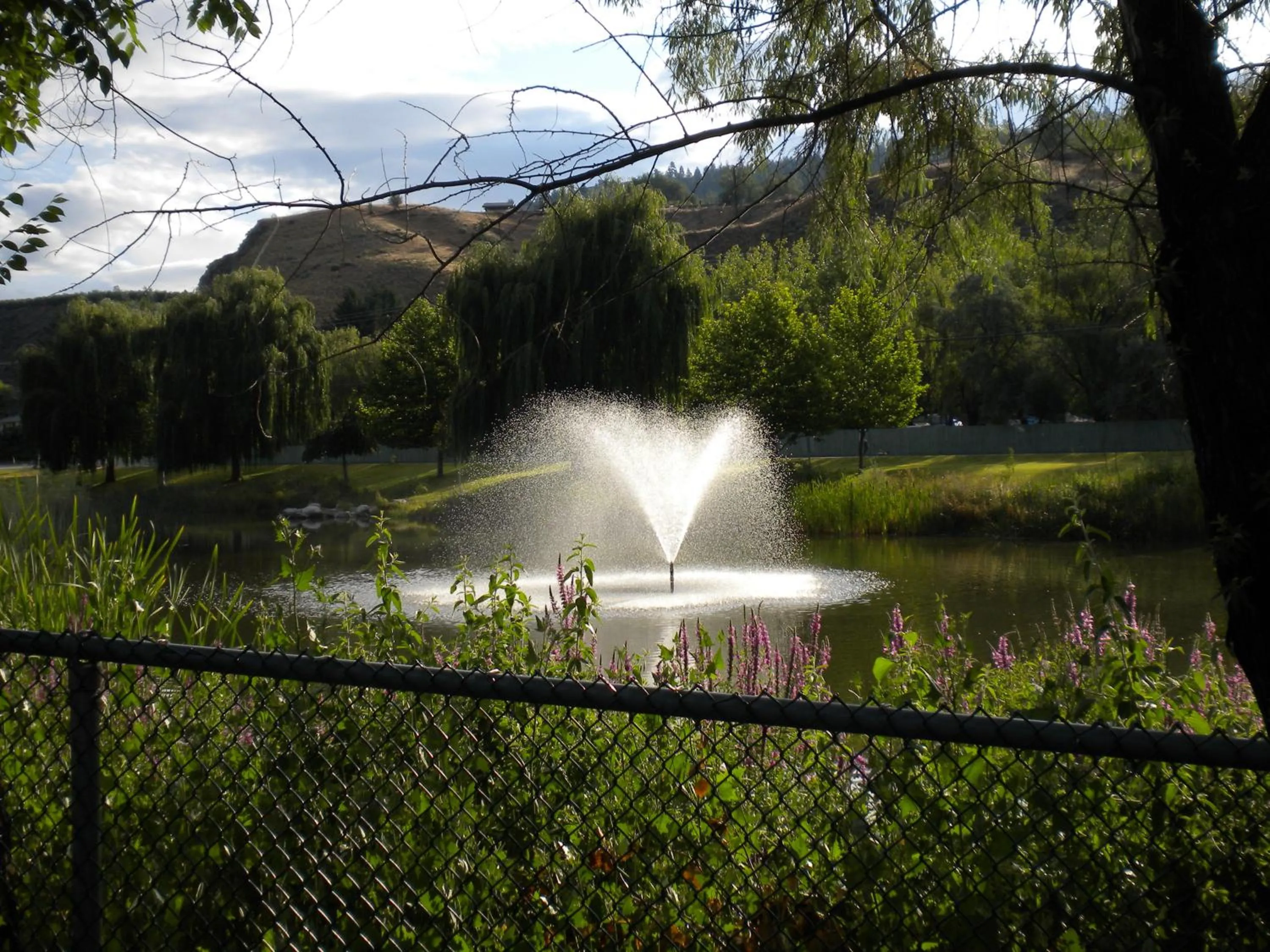Garden in Holiday House Motel